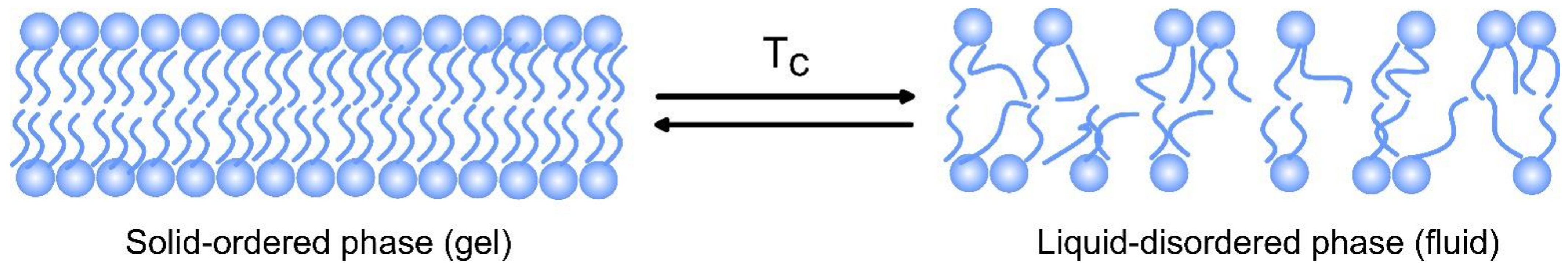 Pharmaceutics 14 02195 g013 Pharmaceutics 14 02195 g013