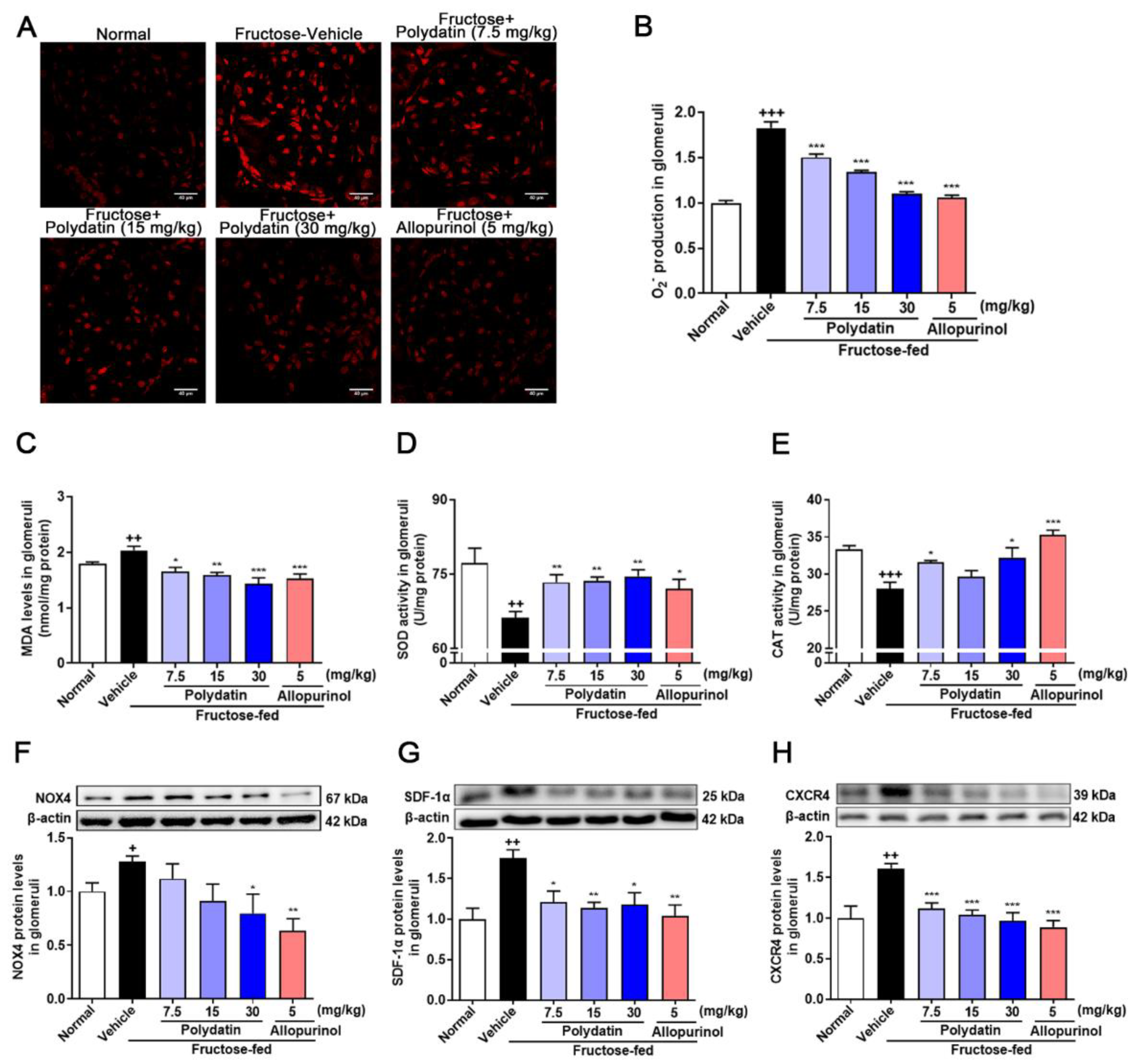 Pharmaceutics 14 02202 g005