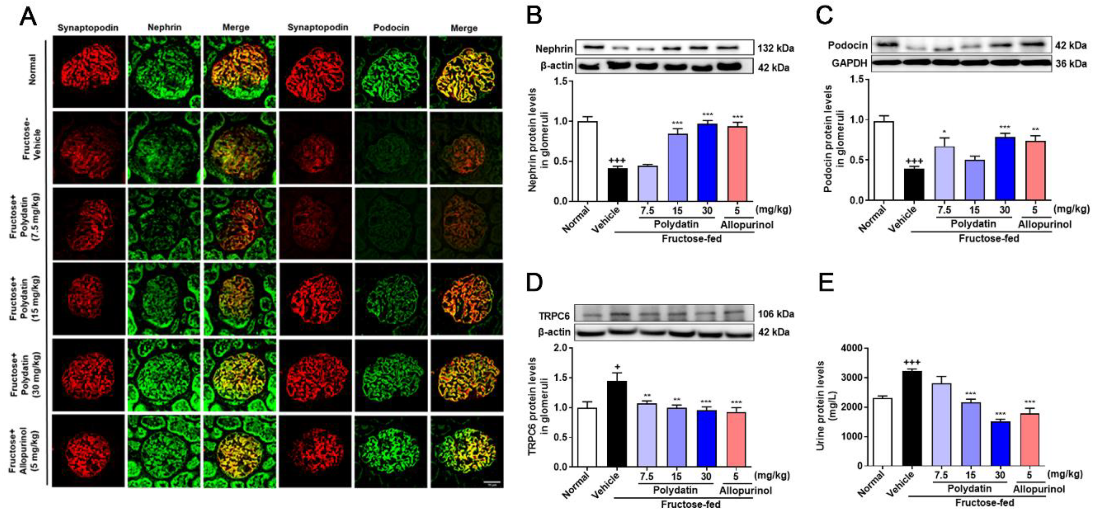 Pharmaceutics 14 02202 g006