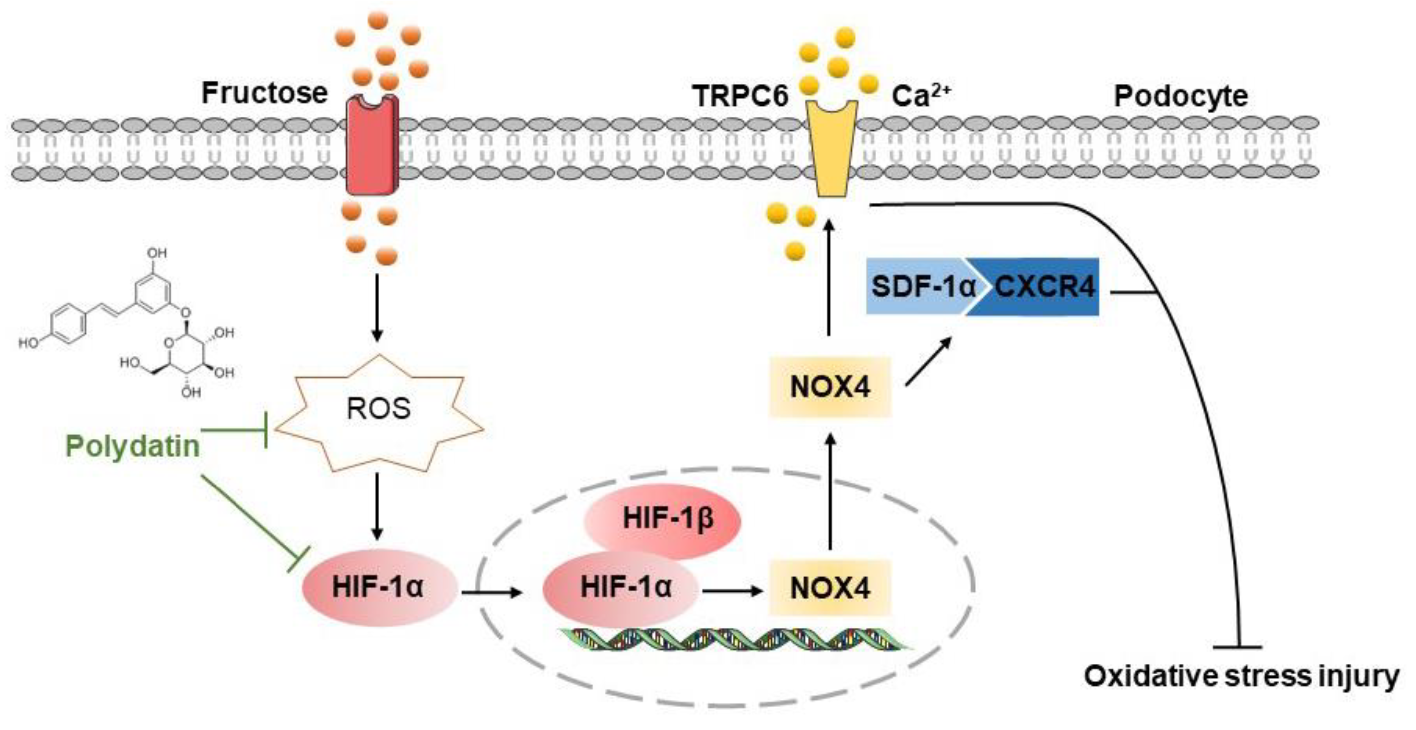 Pharmaceutics 14 02202 g007