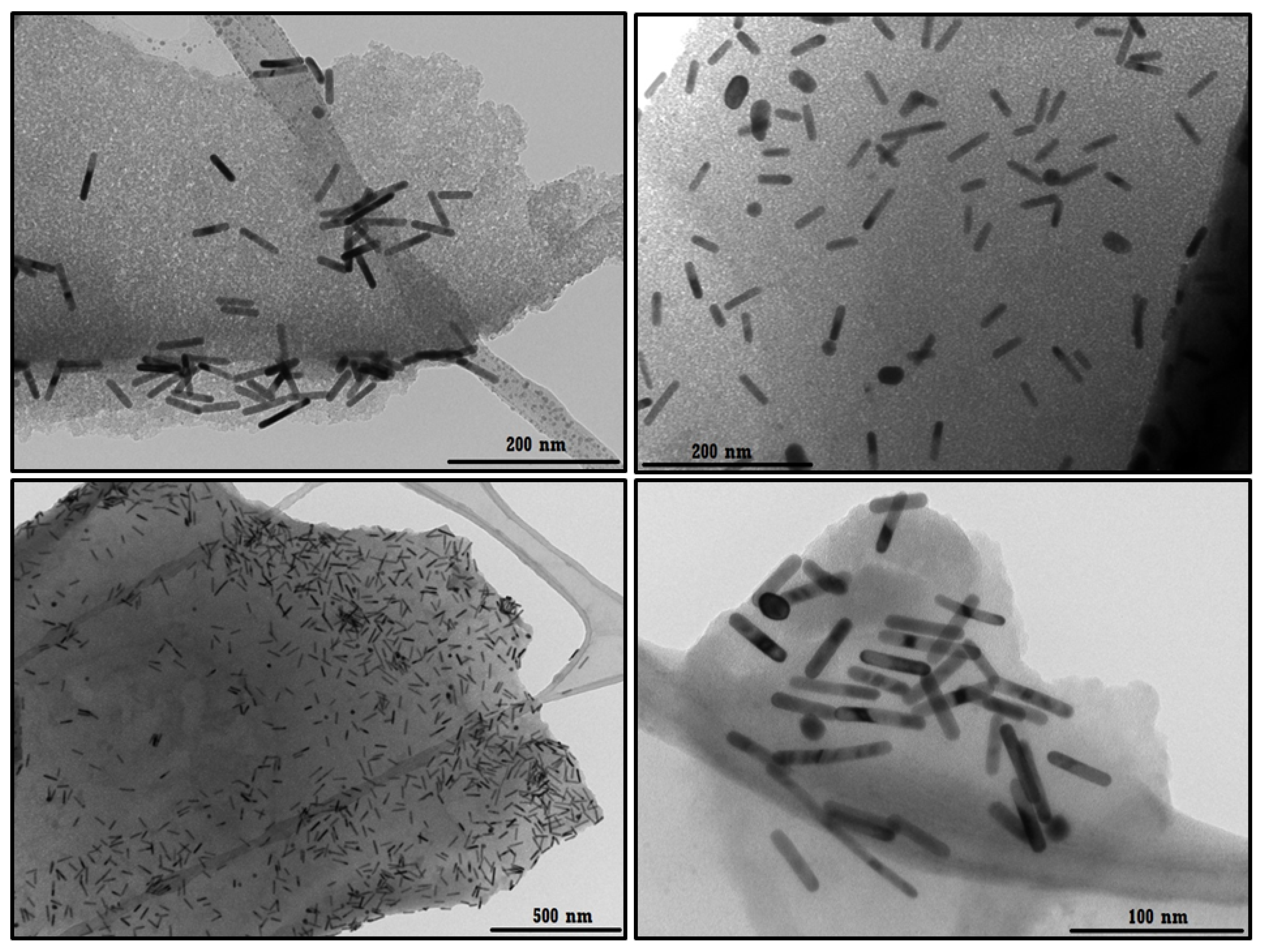 Pharmaceutics 14 02206 g014 Pharmaceutics 14 02206 g014