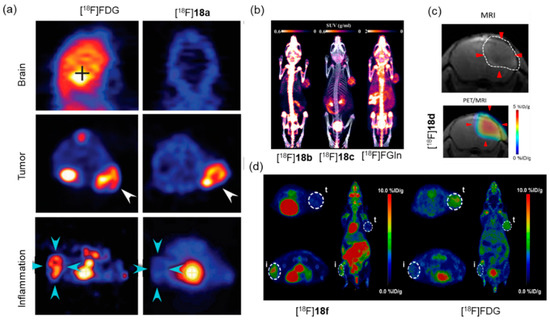 Pharmaceutics 14 02207 g019