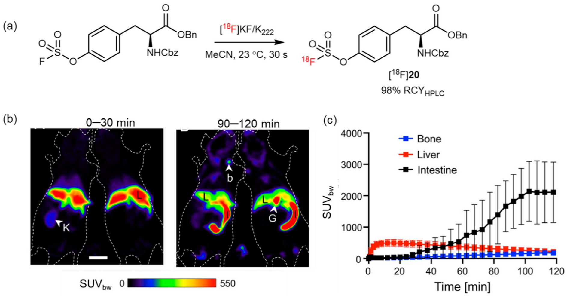 Pharmaceutics 14 02207 g022 Pharmaceutics 14 02207 g022