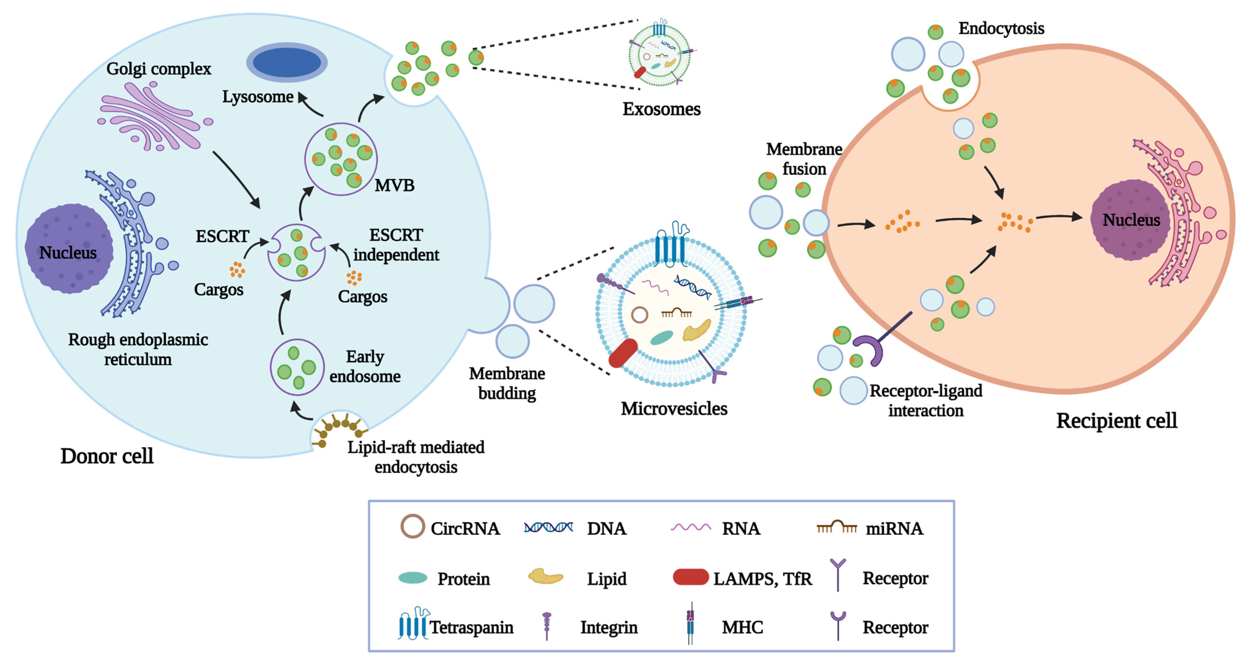 Pharmaceutics 14 02208 g001