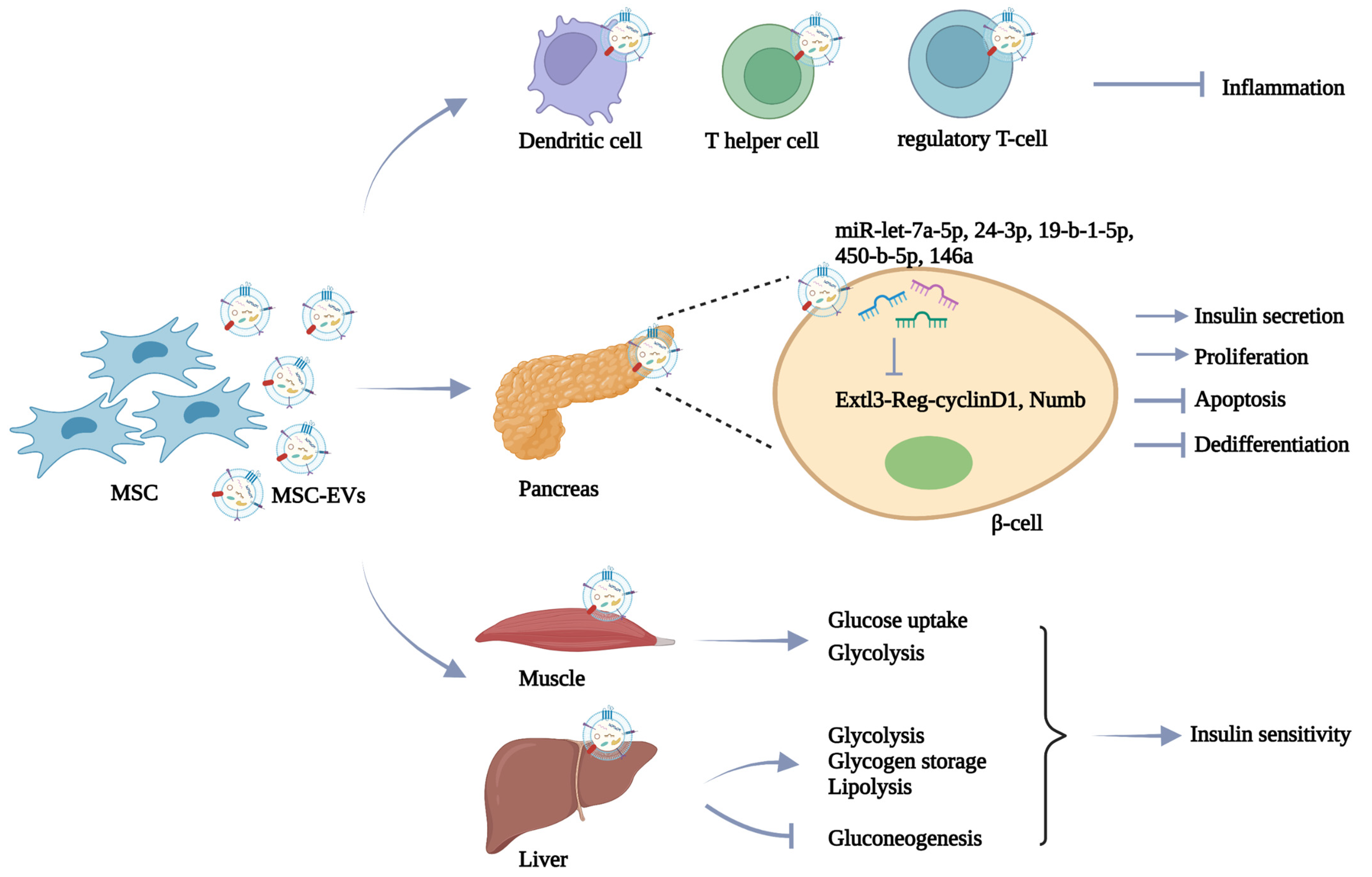 Pharmaceutics 14 02208 g002