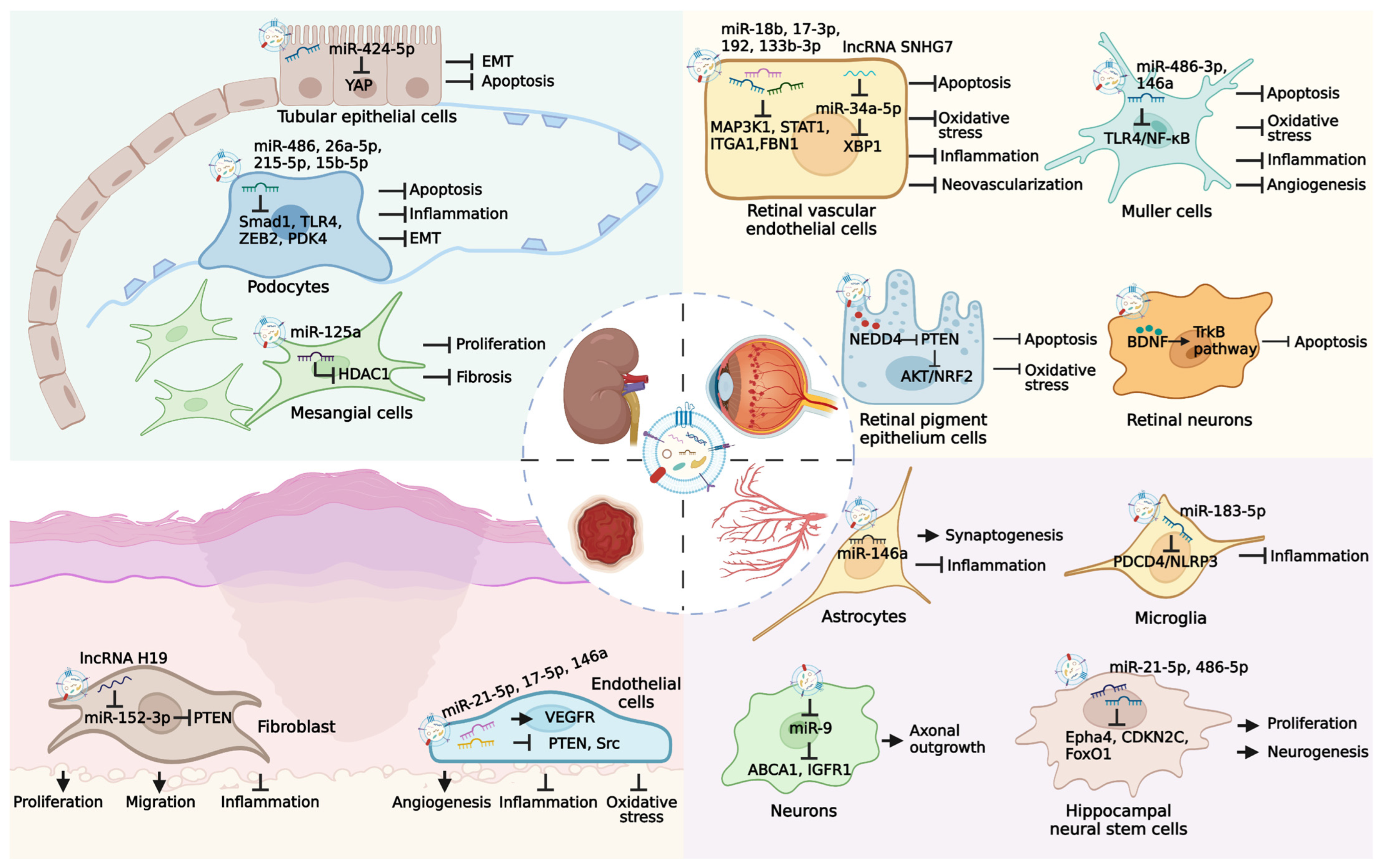 Pharmaceutics 14 02208 g003