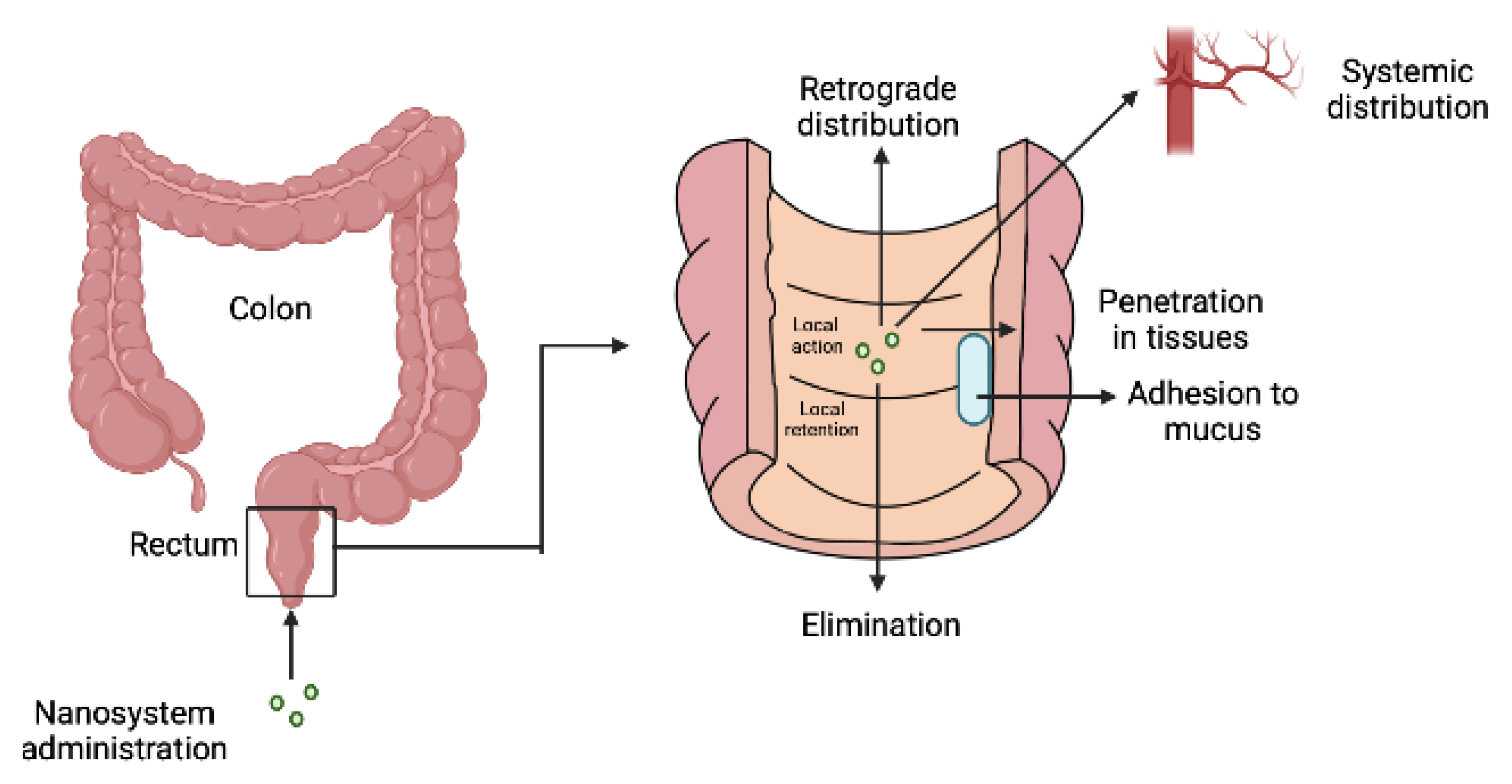 Pharmaceutics 14 02210 g004