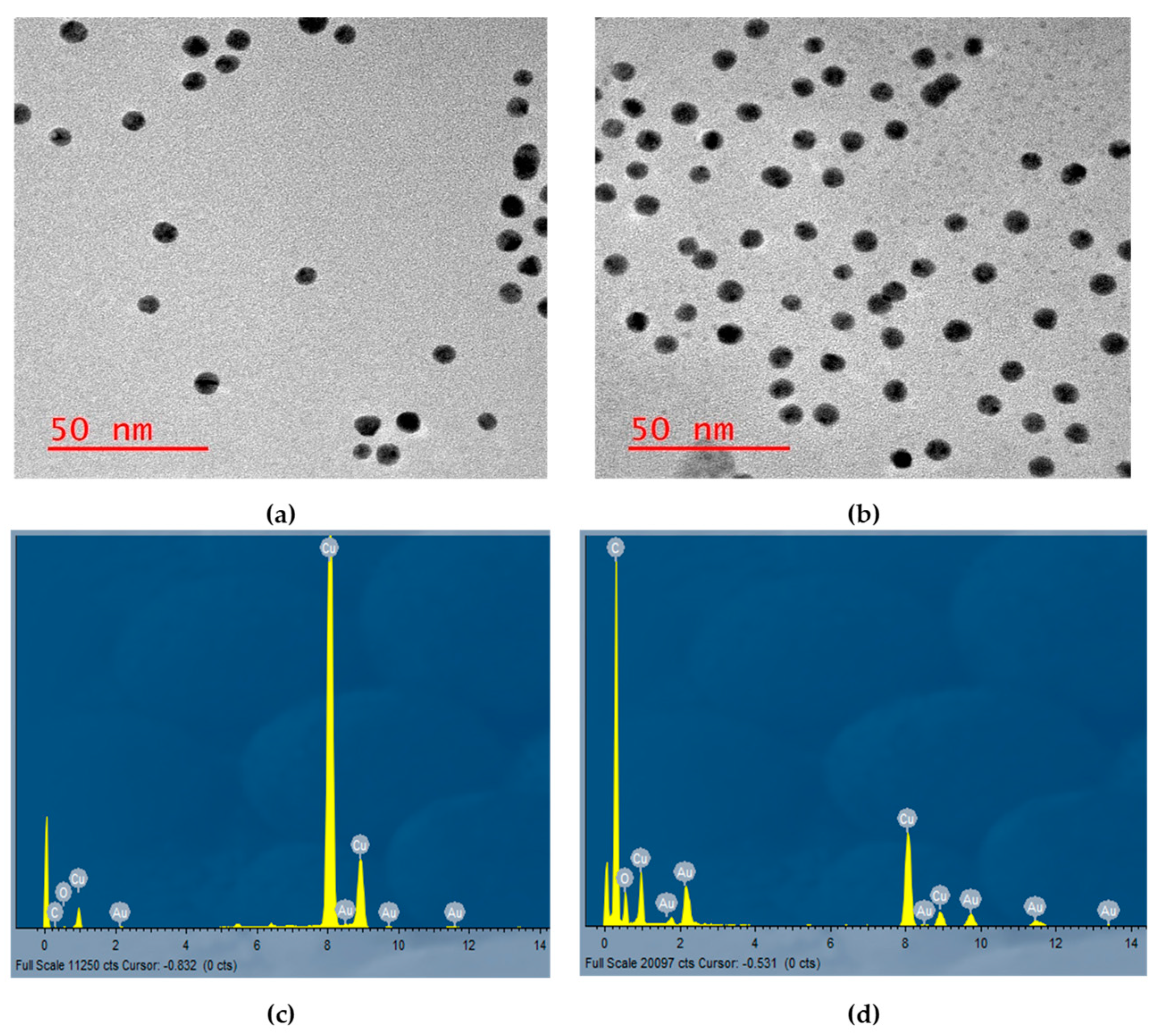 Pharmaceutics 14 02212 g003