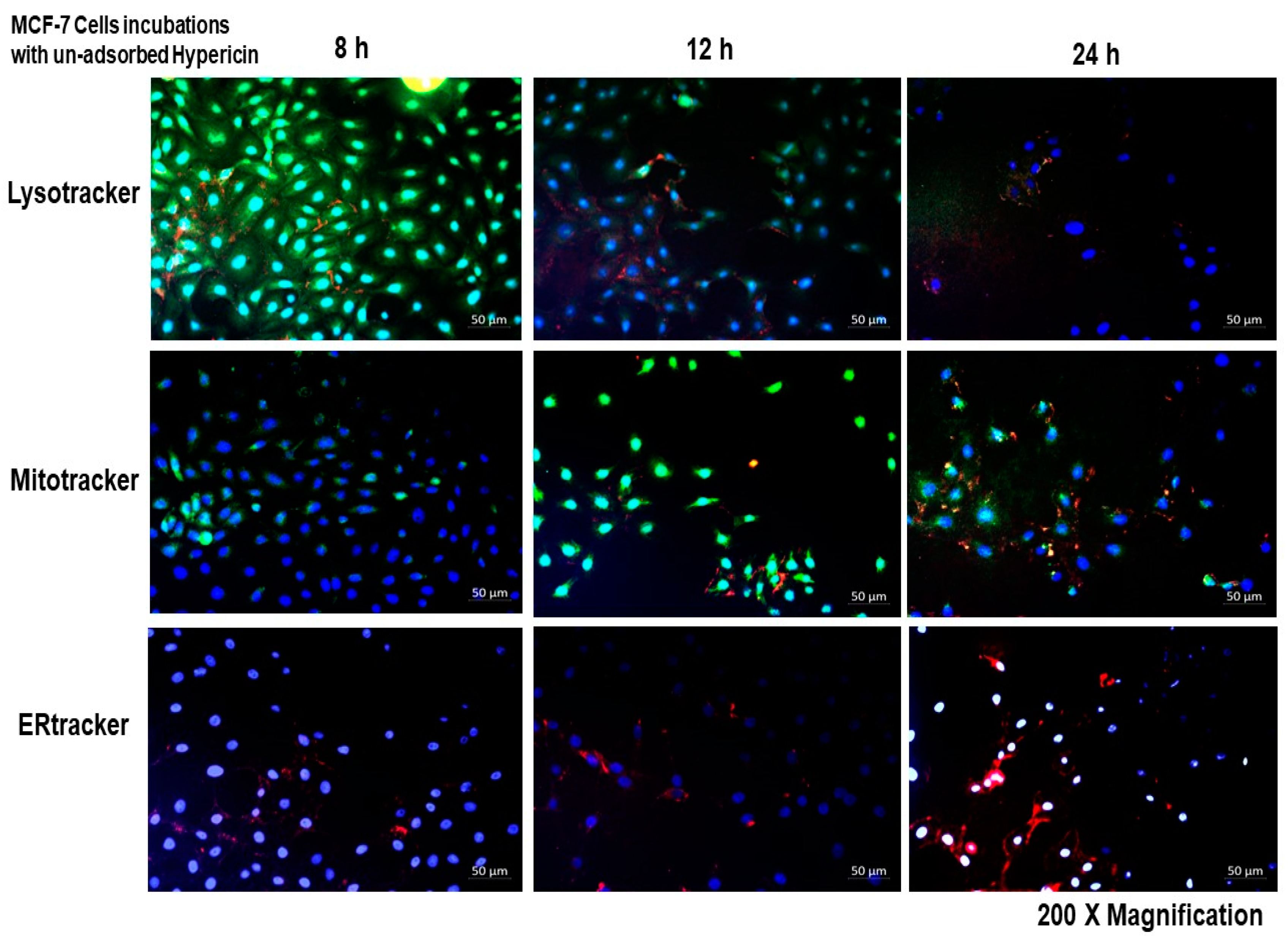 Pharmaceutics 14 02212 g005