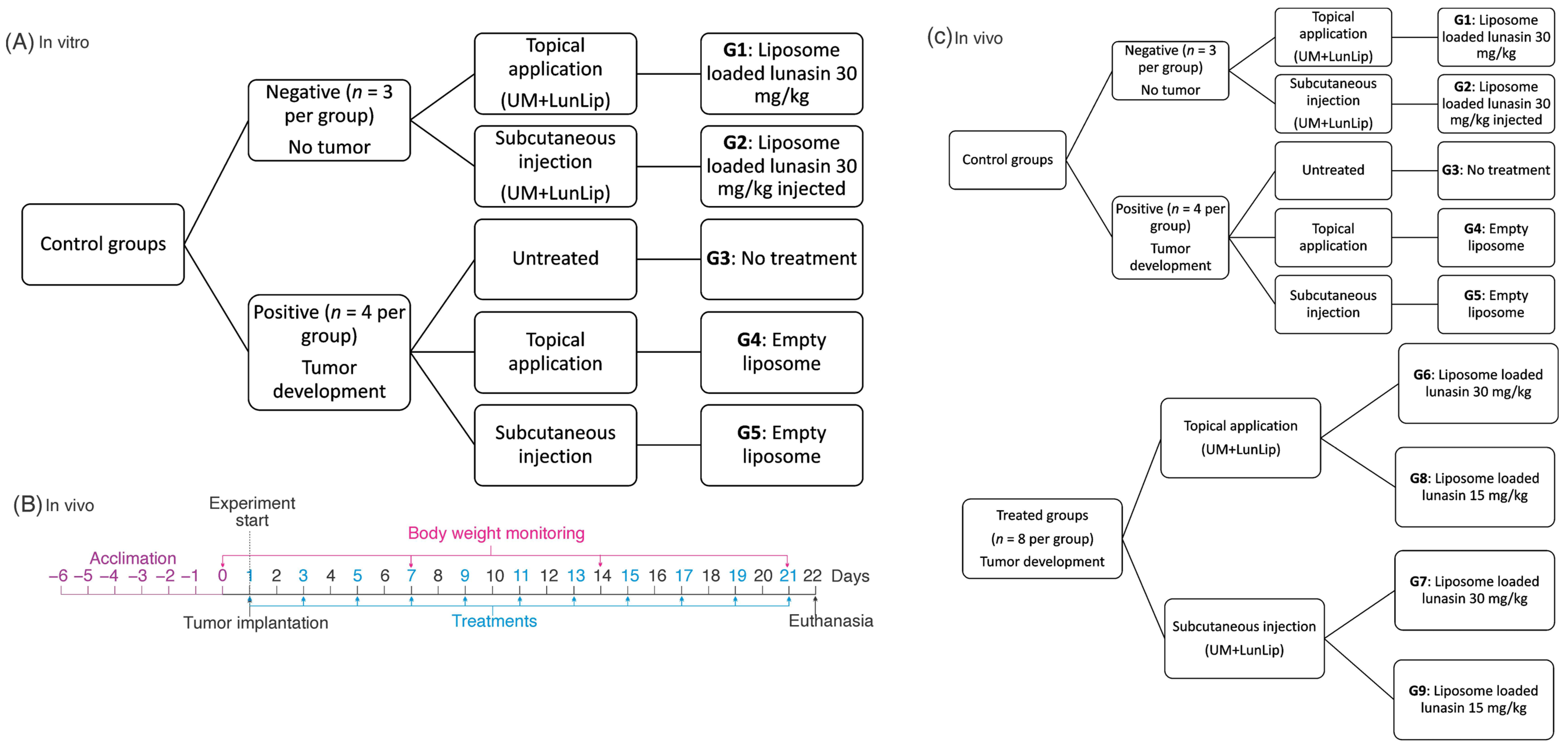 Pharmaceutics 14 02214 g001