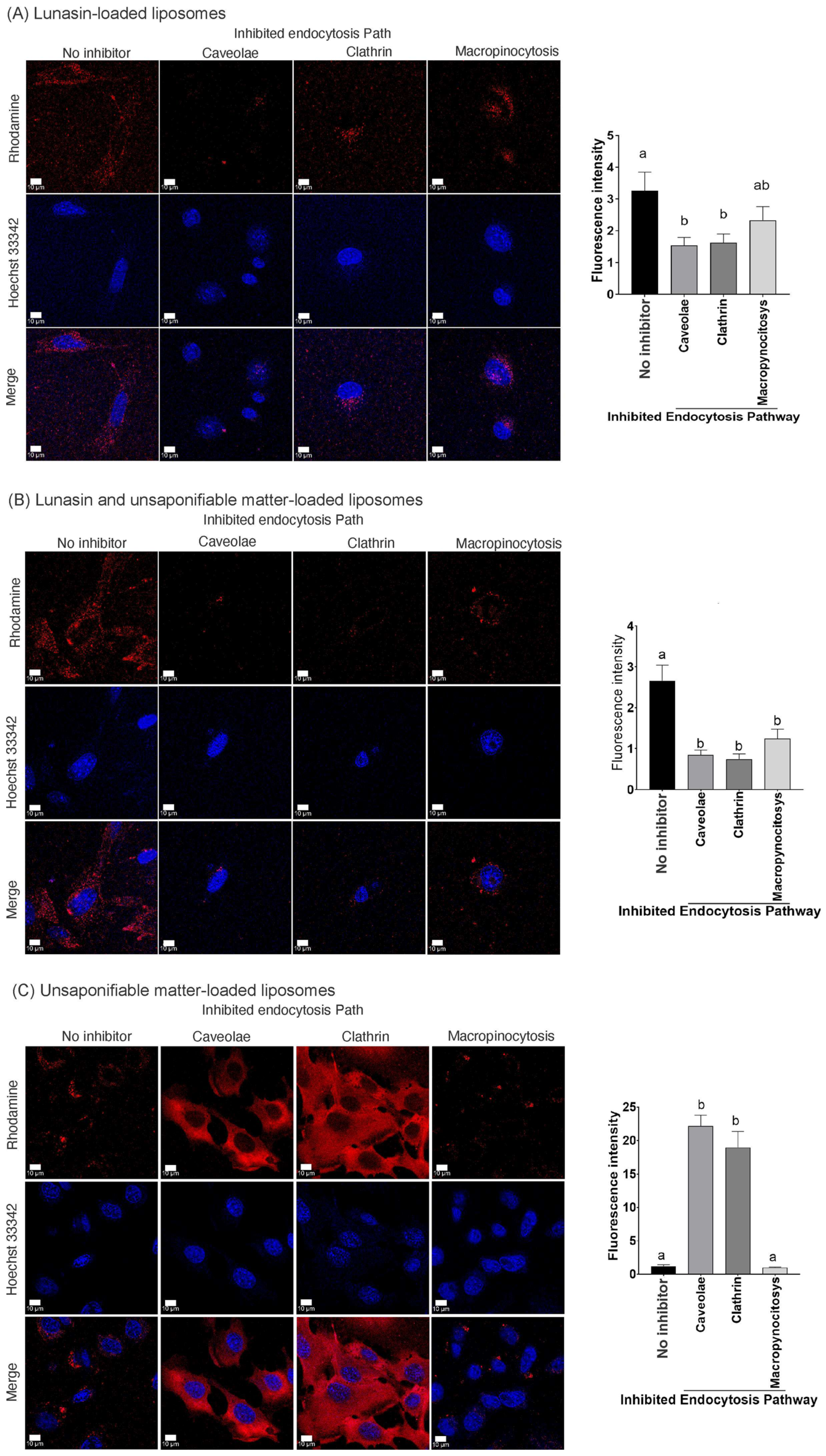 Pharmaceutics 14 02214 g002