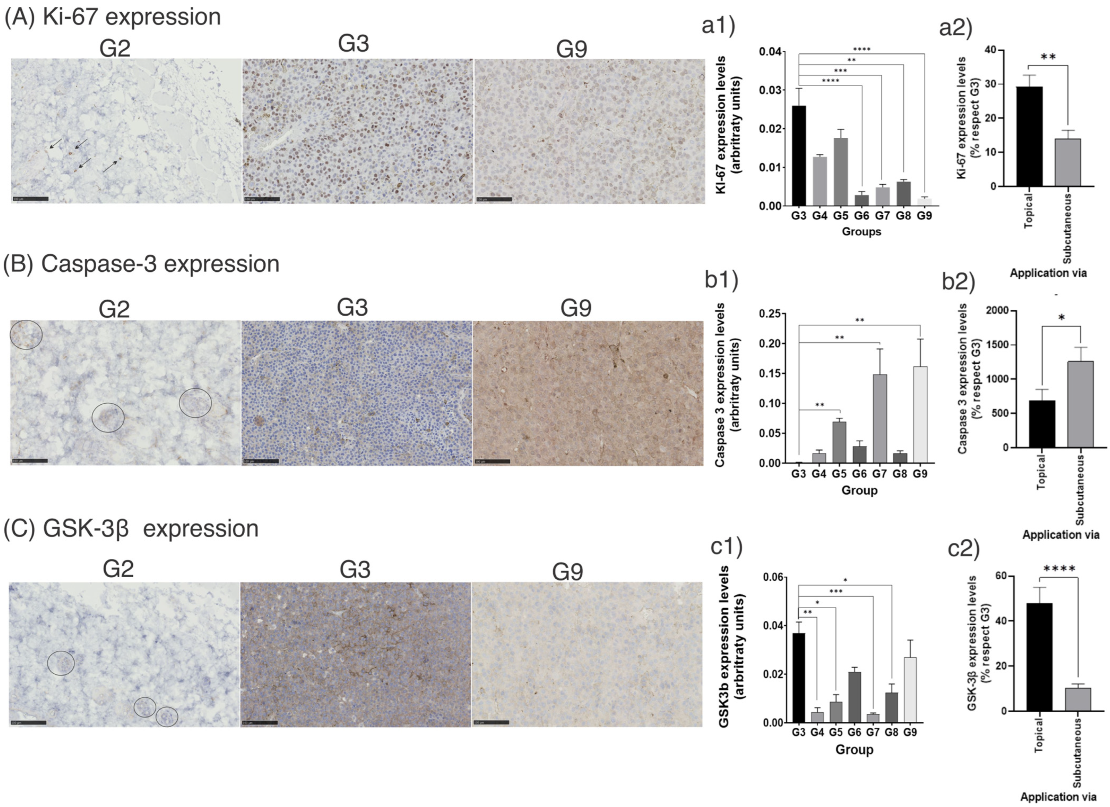 Pharmaceutics 14 02214 g005