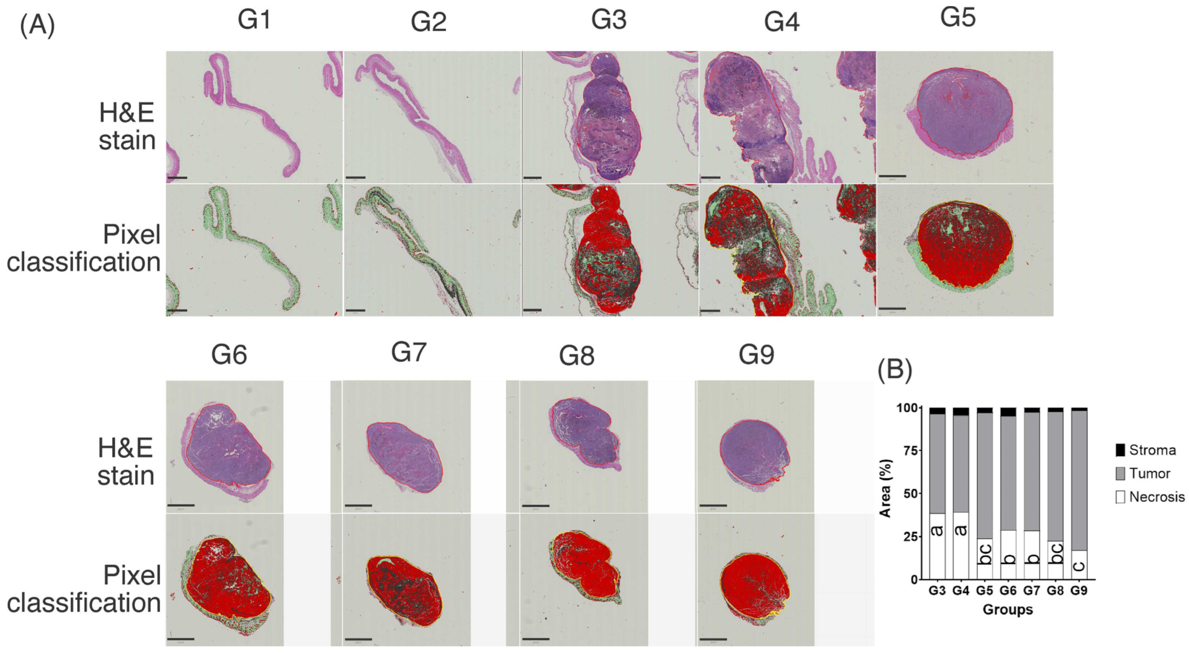 Pharmaceutics 14 02214 g006