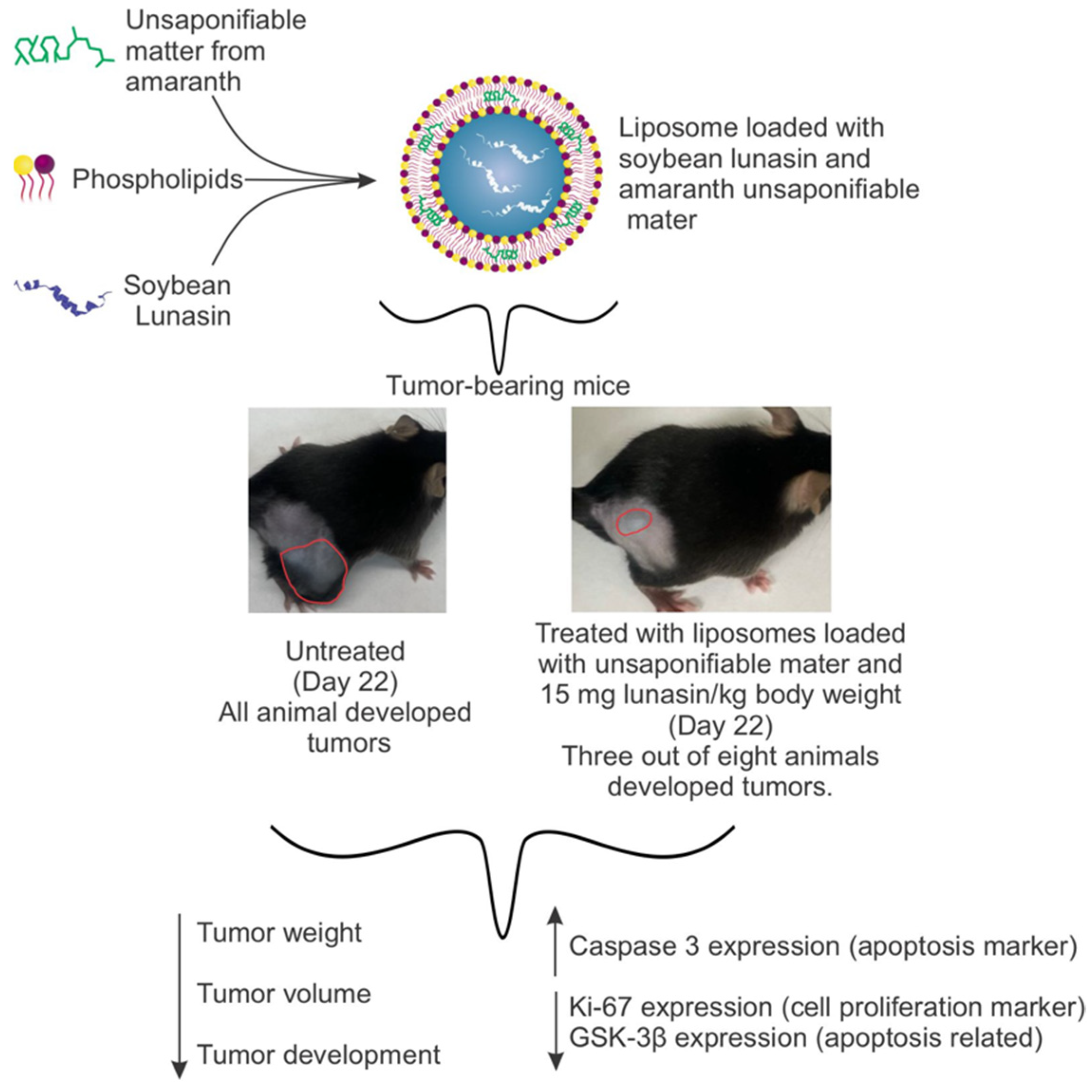 Pharmaceutics 14 02214 g007