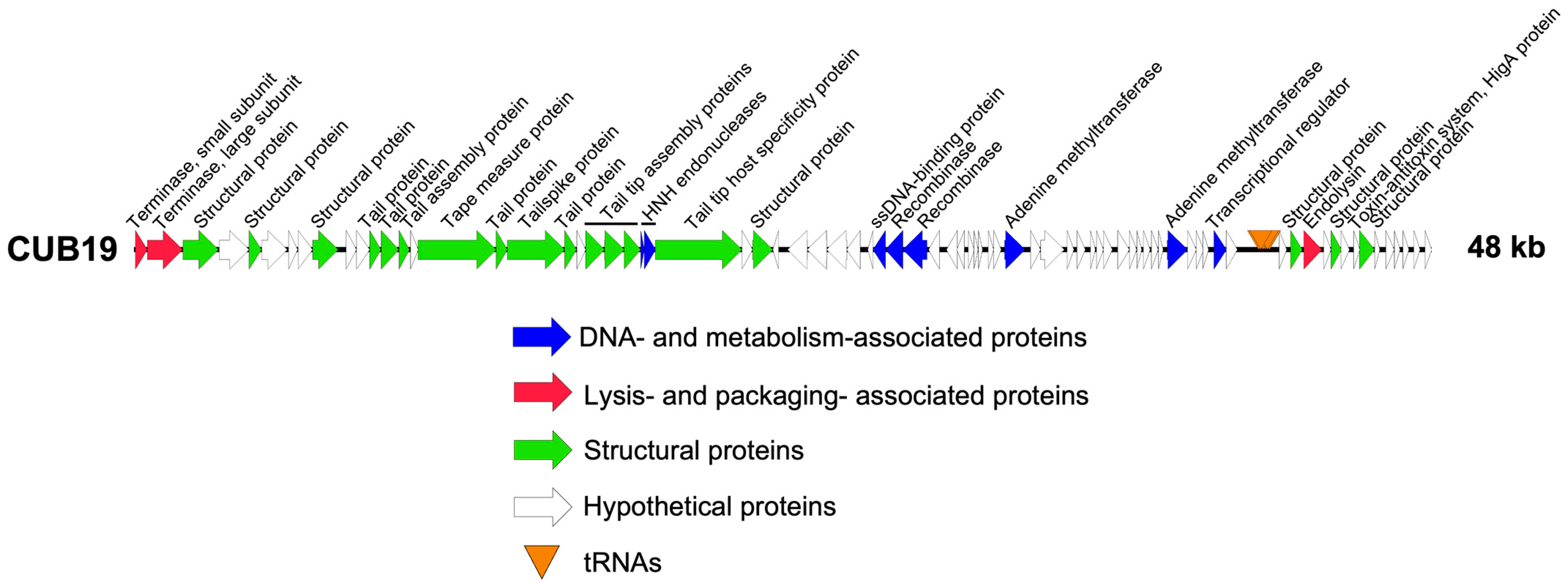 Pharmaceutics 14 02216 g002