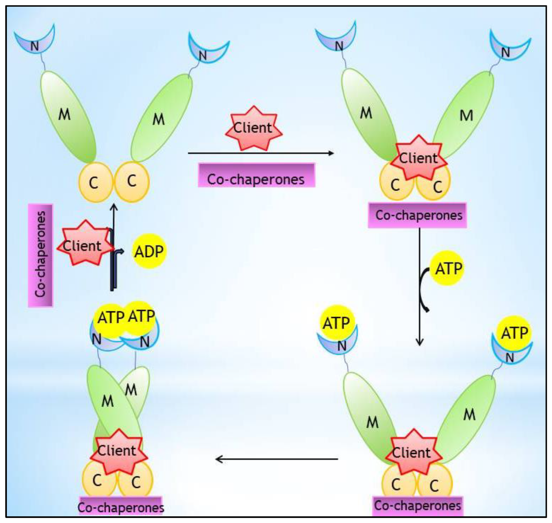 Pharmaceutics 14 02220 g001