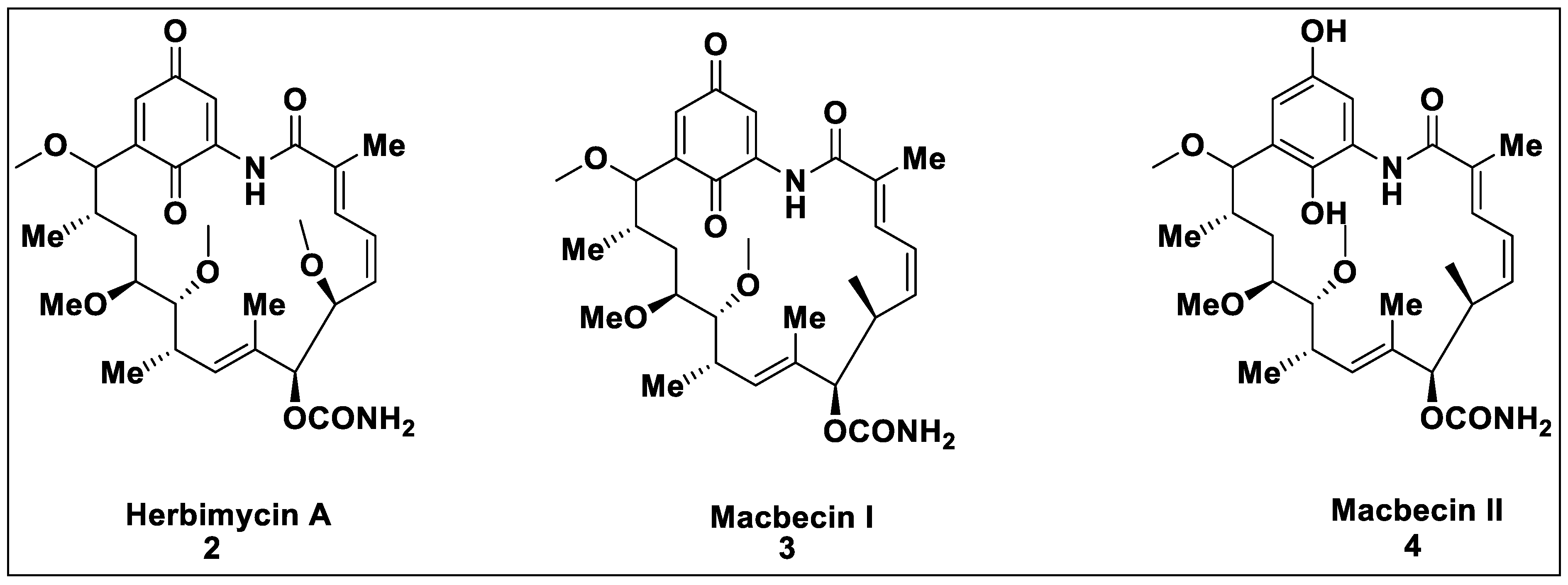Pharmaceutics 14 02220 sch002
