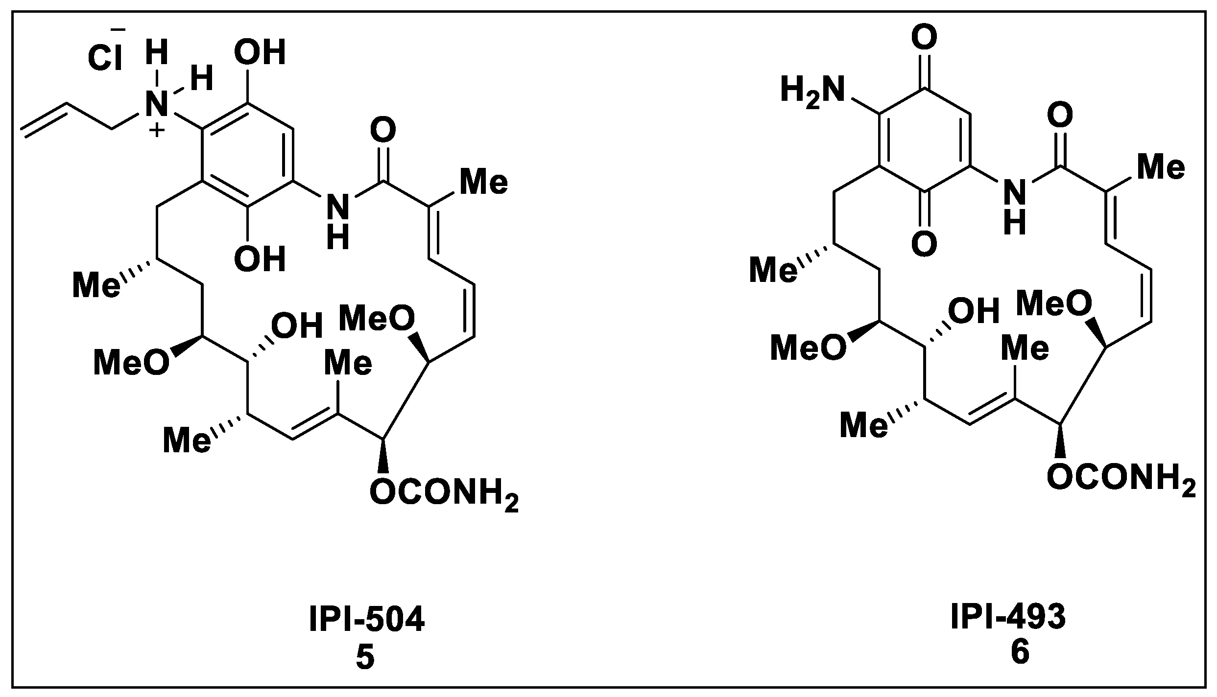 Pharmaceutics 14 02220 sch003