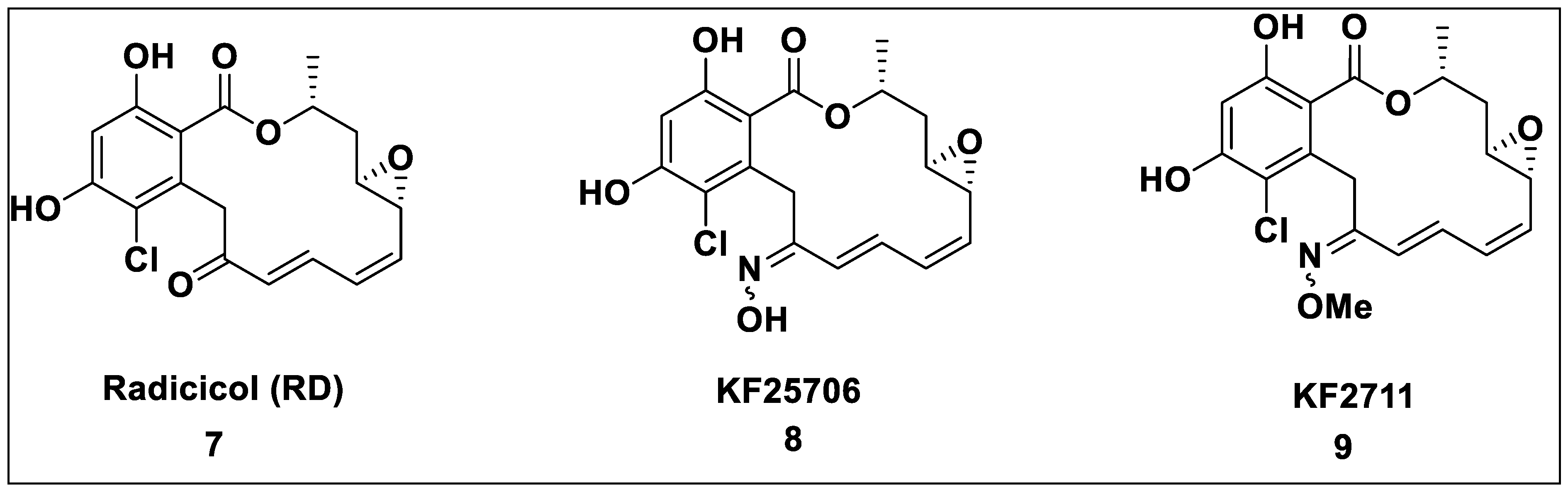 Pharmaceutics 14 02220 sch004