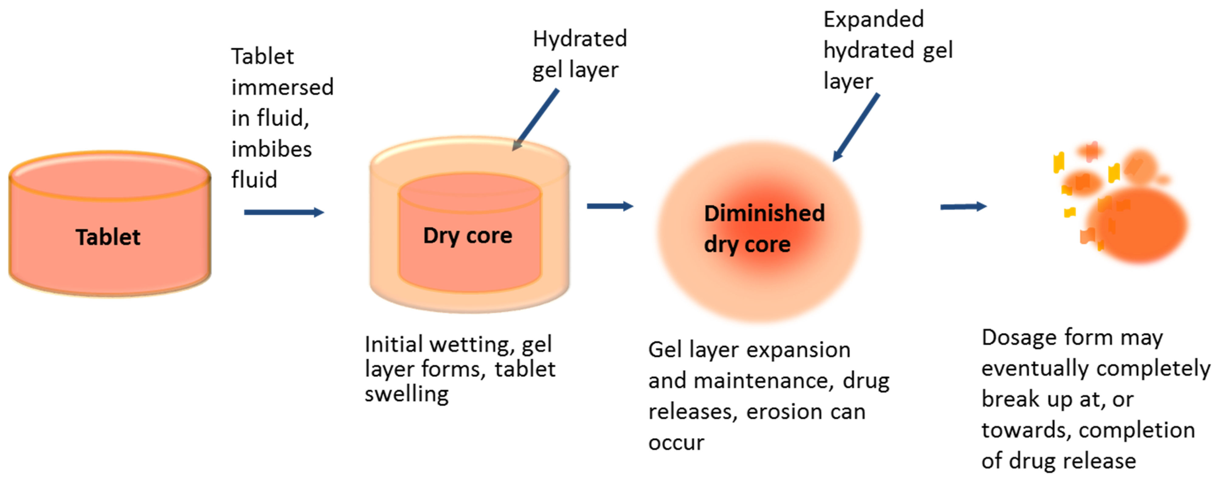 Pharmaceutics 14 02222 g002 Pharmaceutics 14 02222 g002