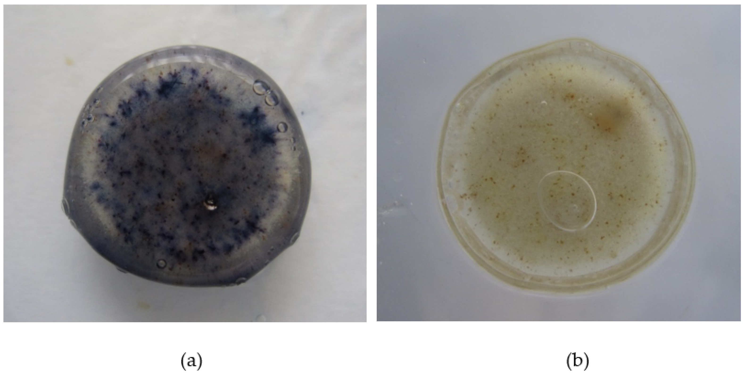 Pharmaceutics 14 02222 g004 Pharmaceutics 14 02222 g004