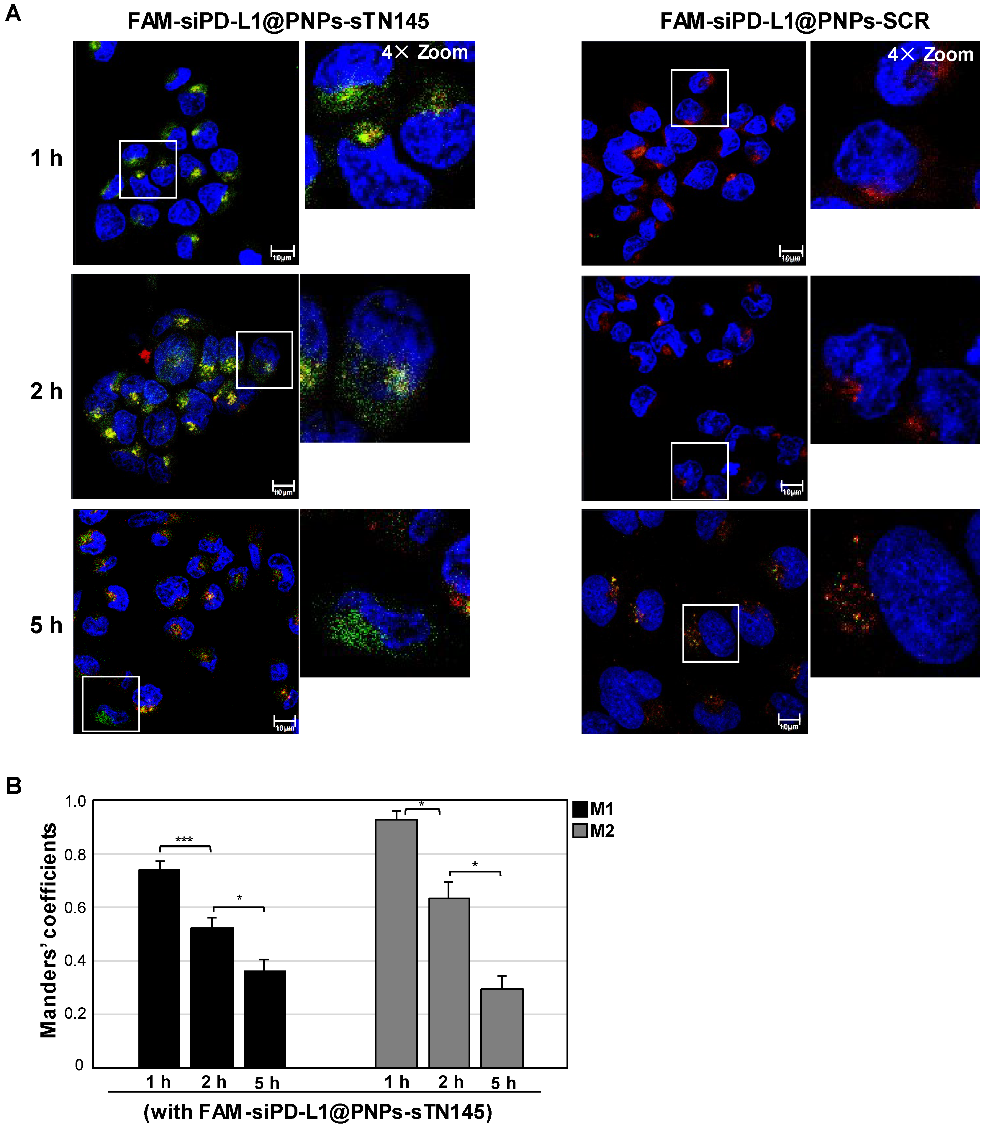 Pharmaceutics 14 02225 g004 Pharmaceutics 14 02225 g004