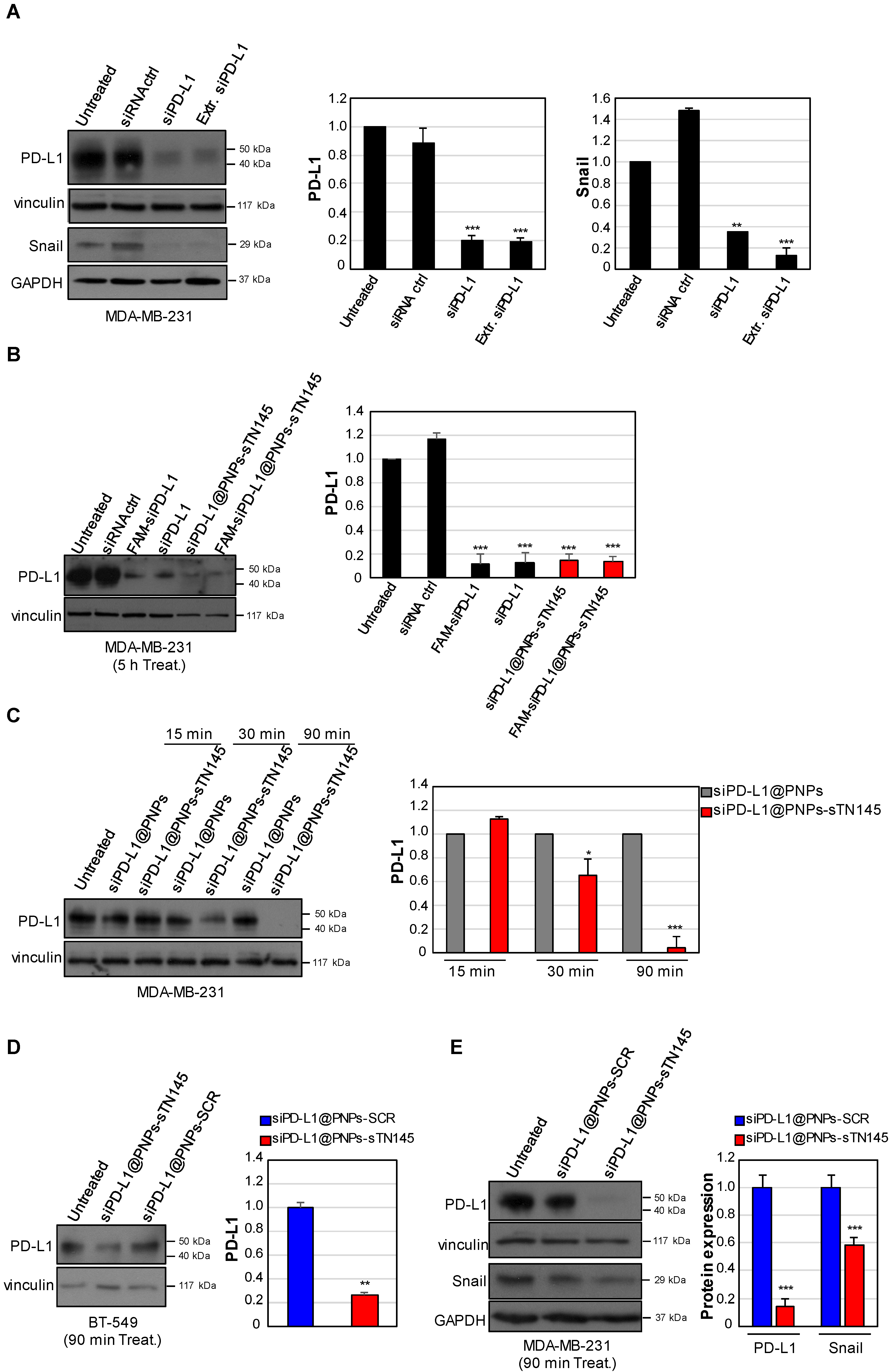 Pharmaceutics 14 02225 g005 Pharmaceutics 14 02225 g005
