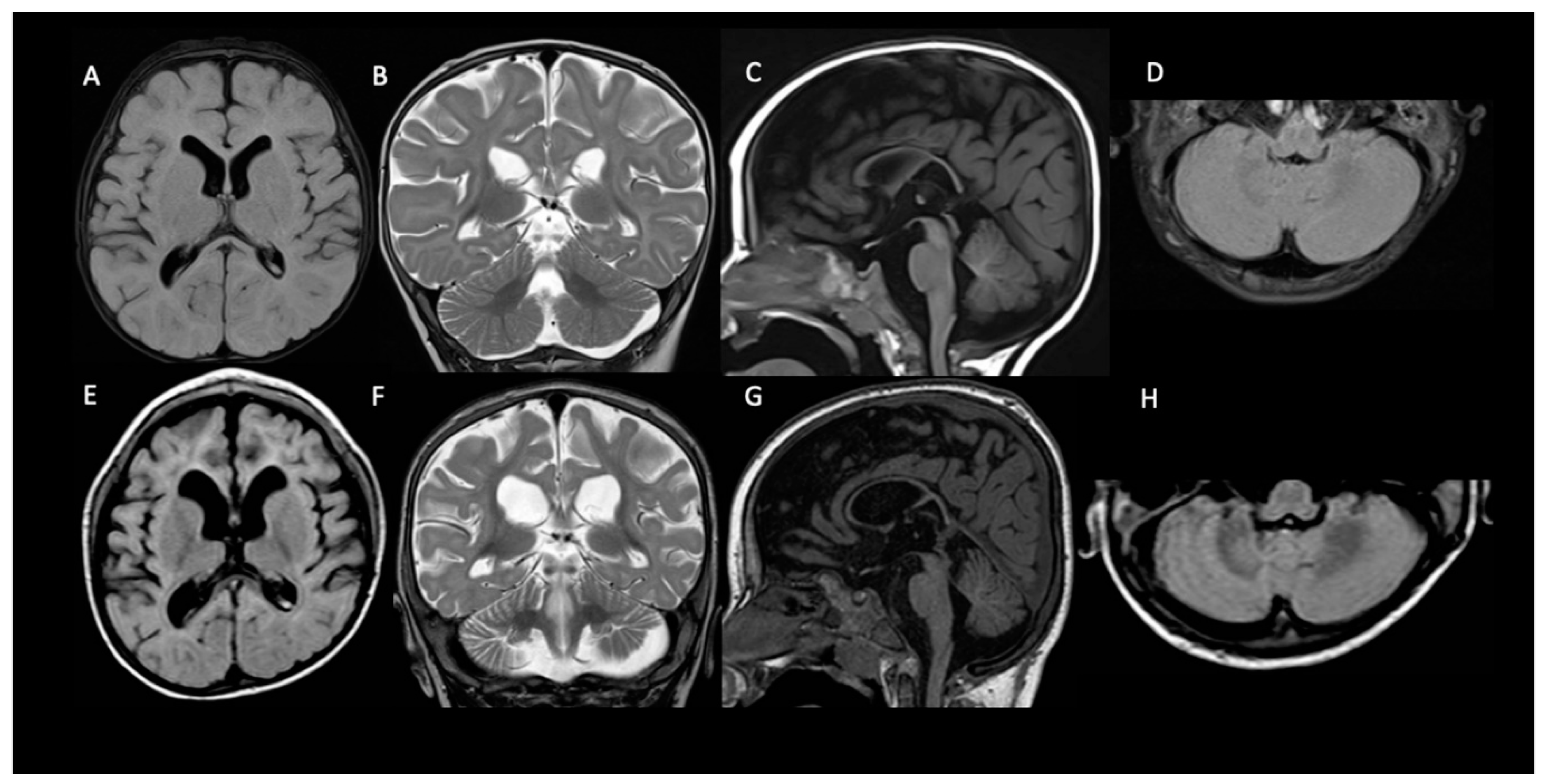Pharmaceutics 14 02230 g002
