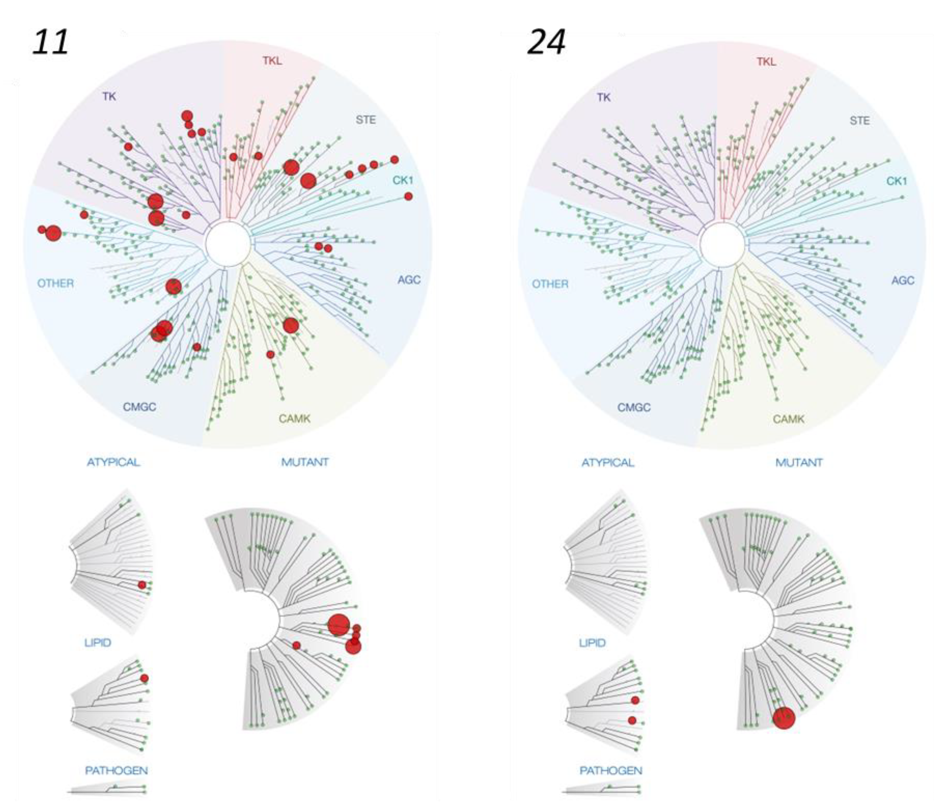 Pharmaceutics 14 02233 g002