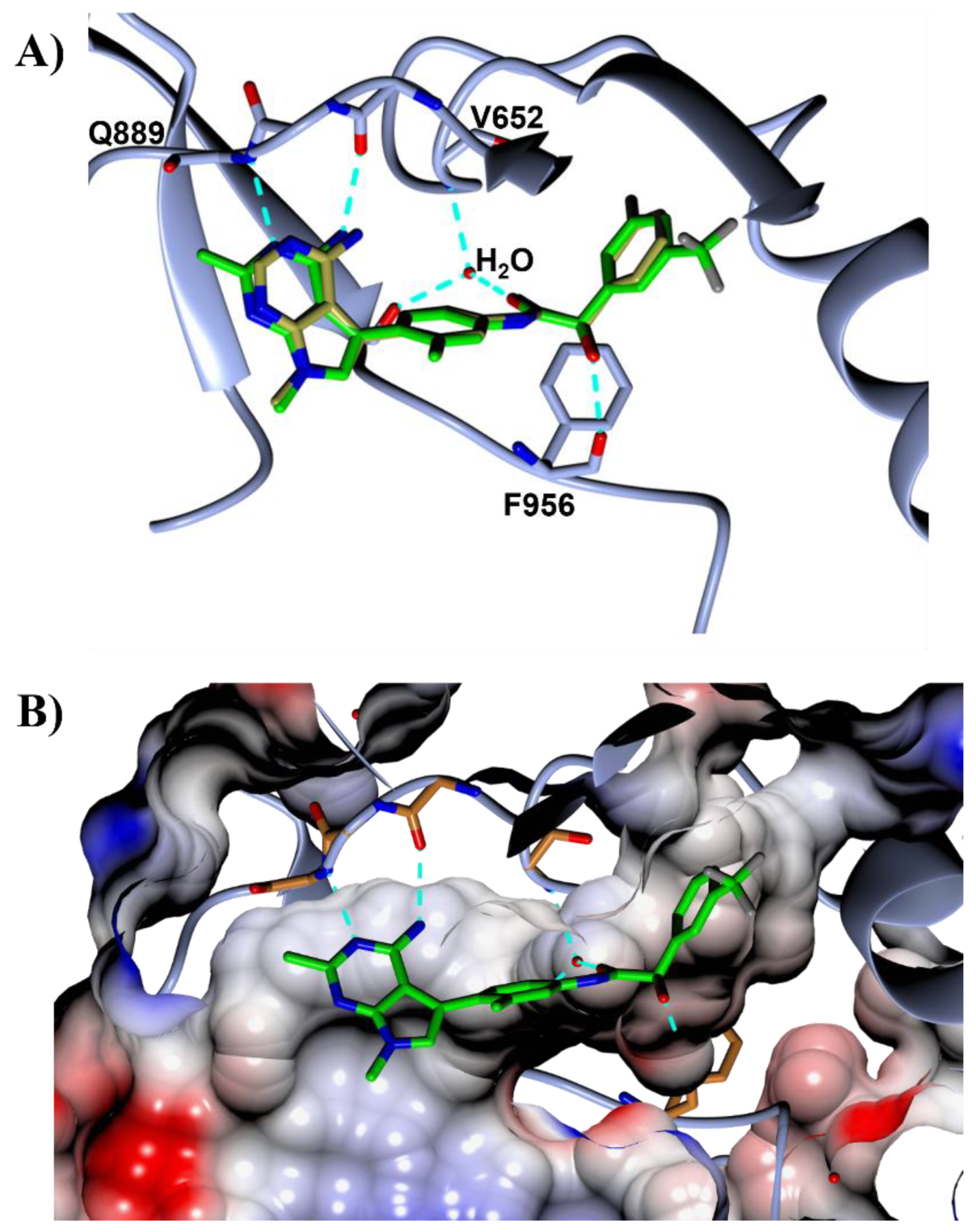 Pharmaceutics 14 02233 g003