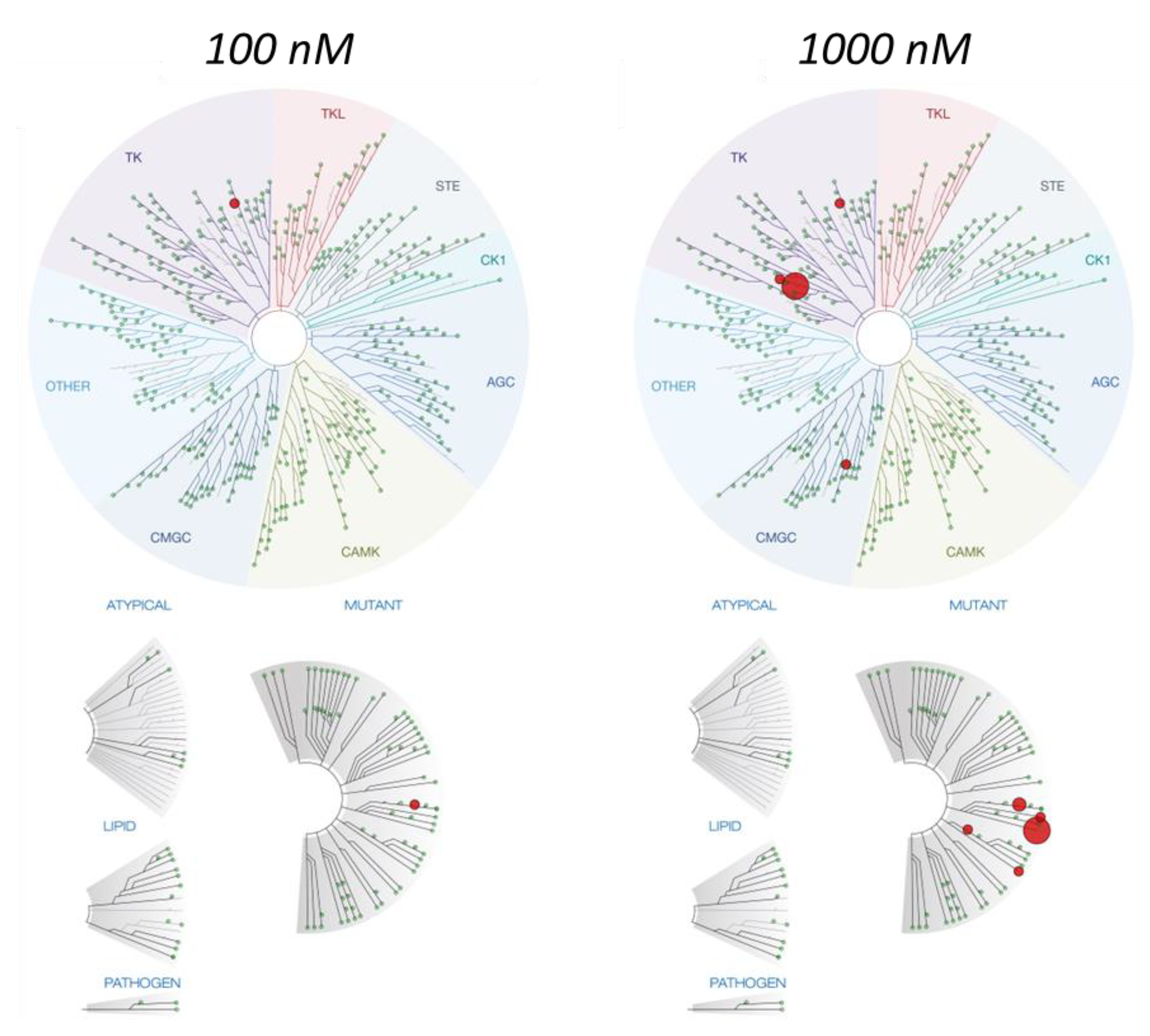 Pharmaceutics 14 02233 g004