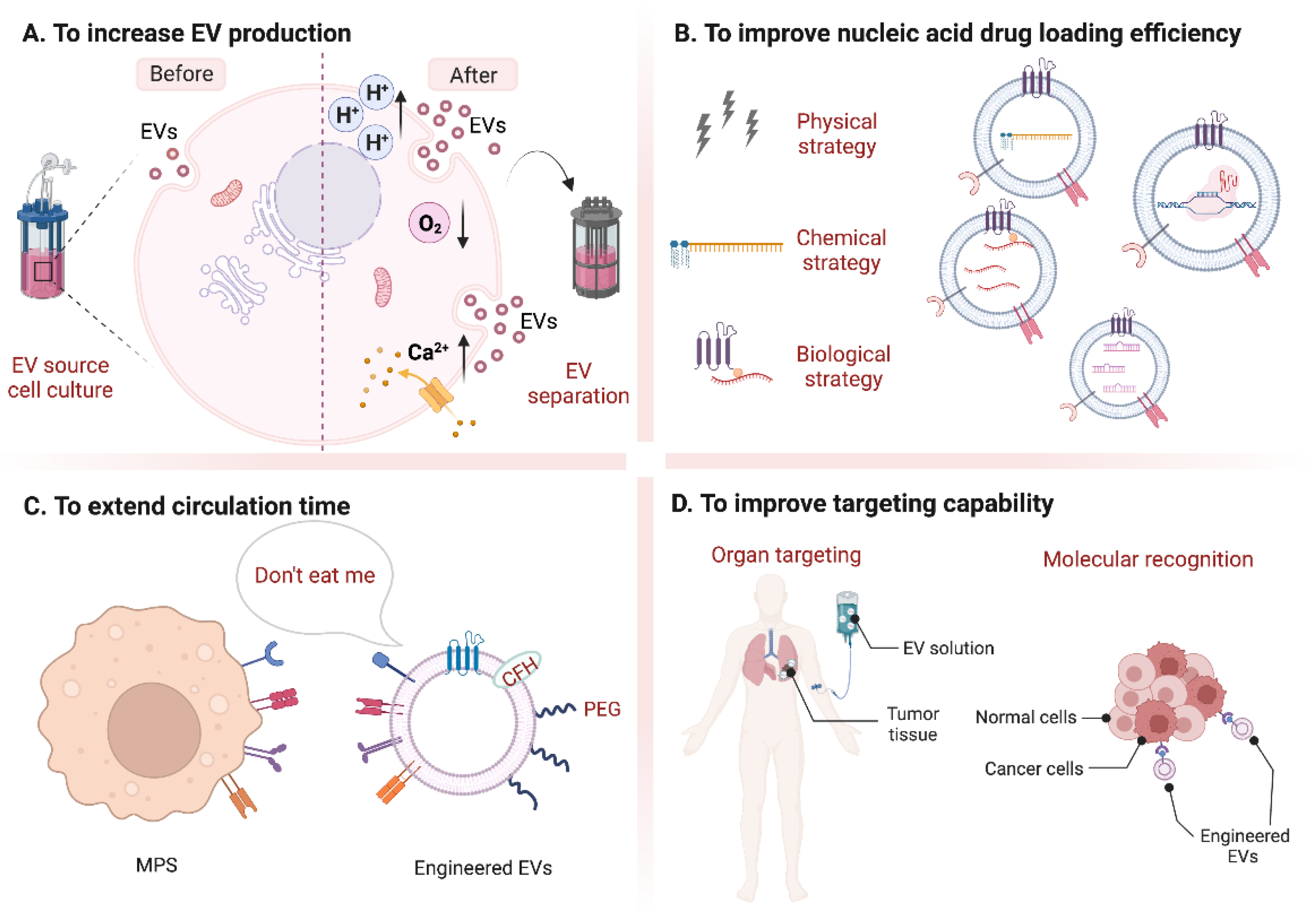 Pharmaceutics 14 02236 g001