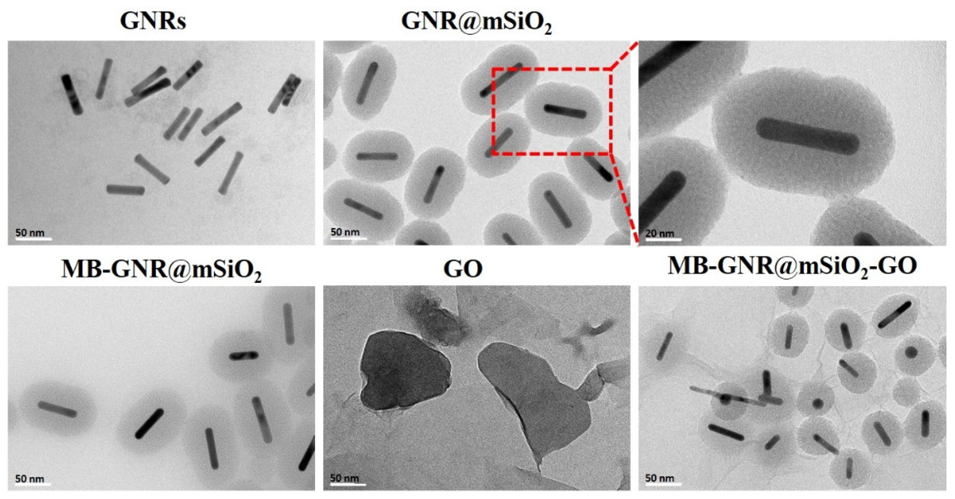 Pharmaceutics 14 02242 g001