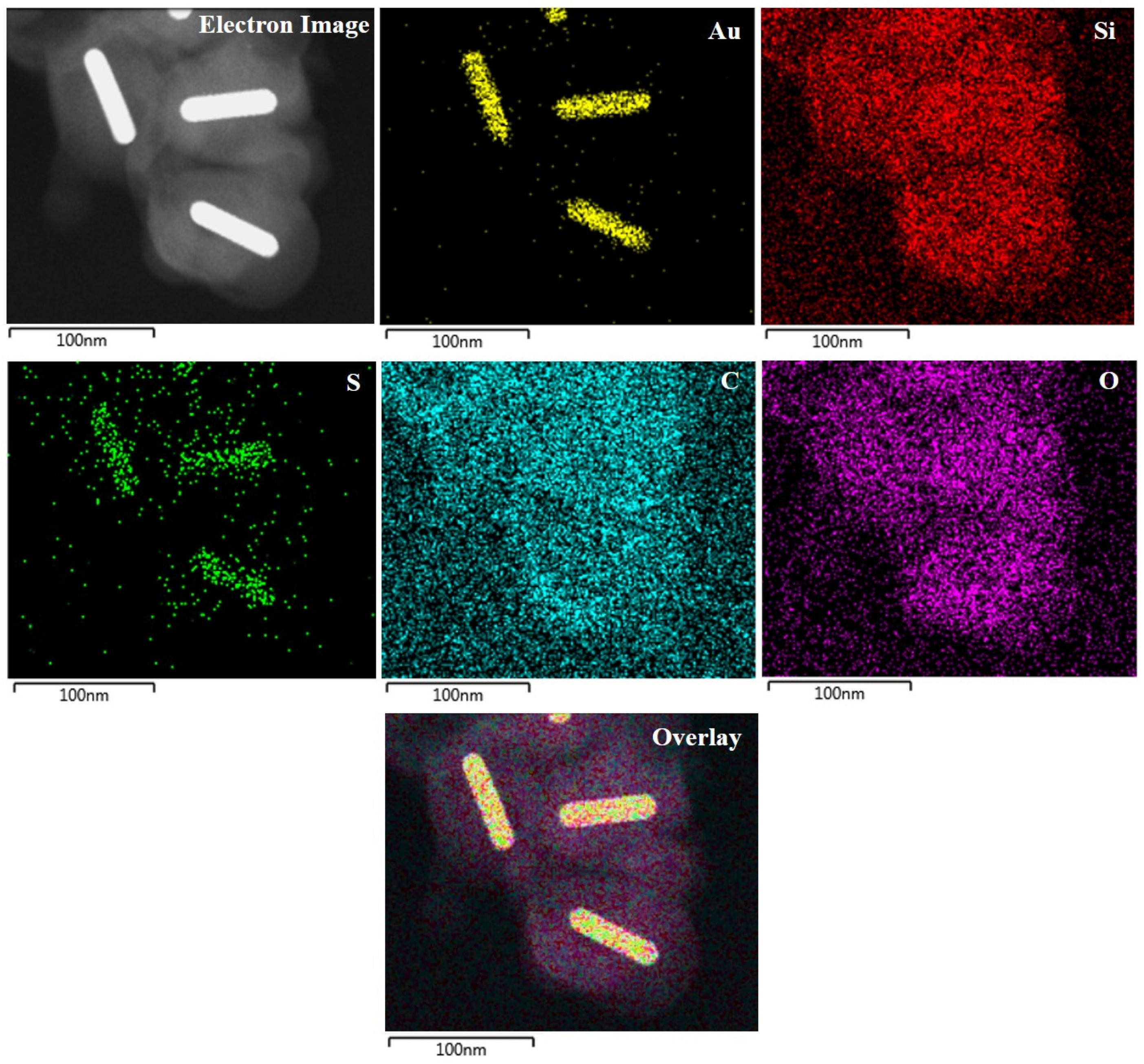 Pharmaceutics 14 02242 g002