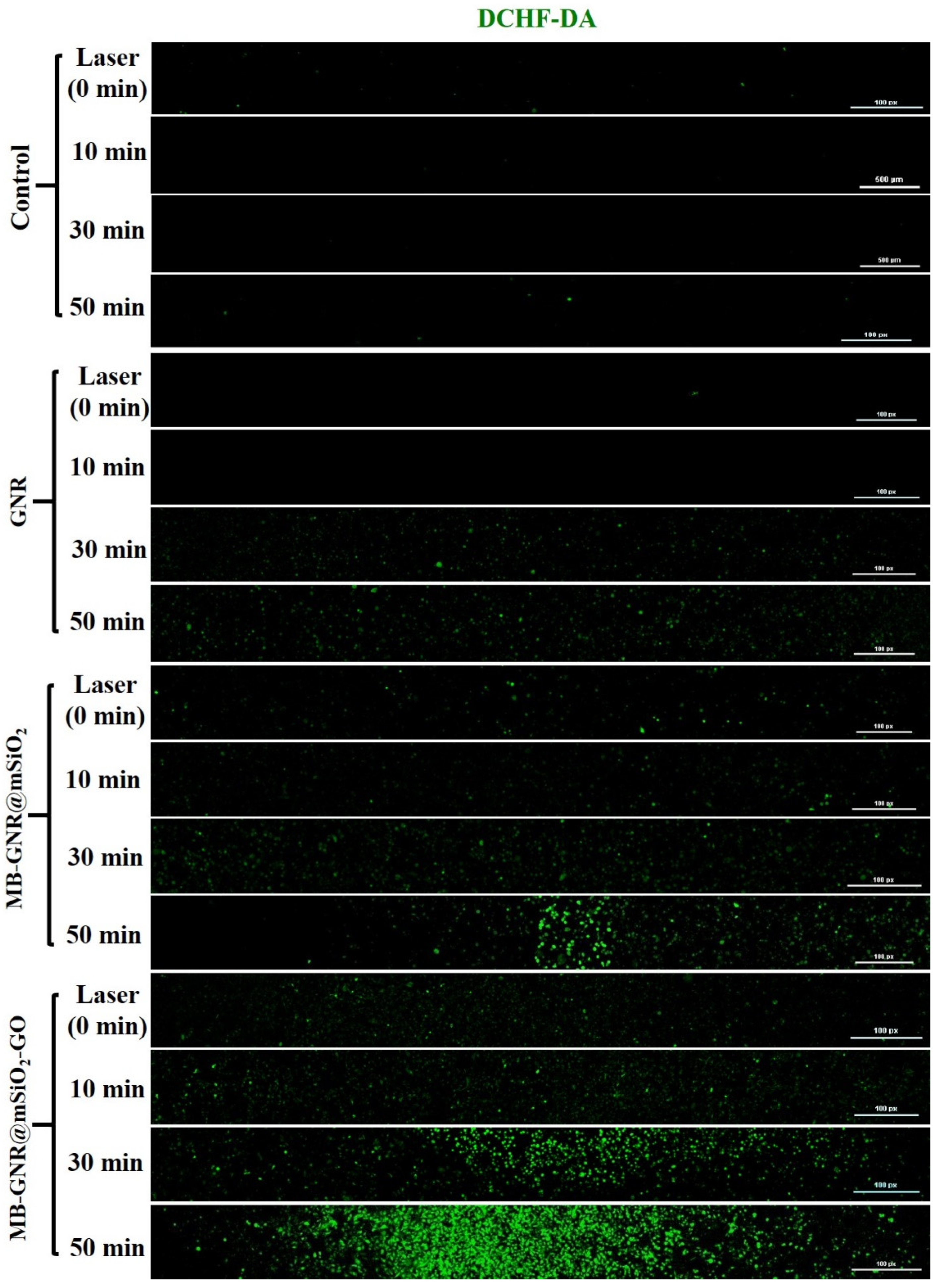 Pharmaceutics 14 02242 g007