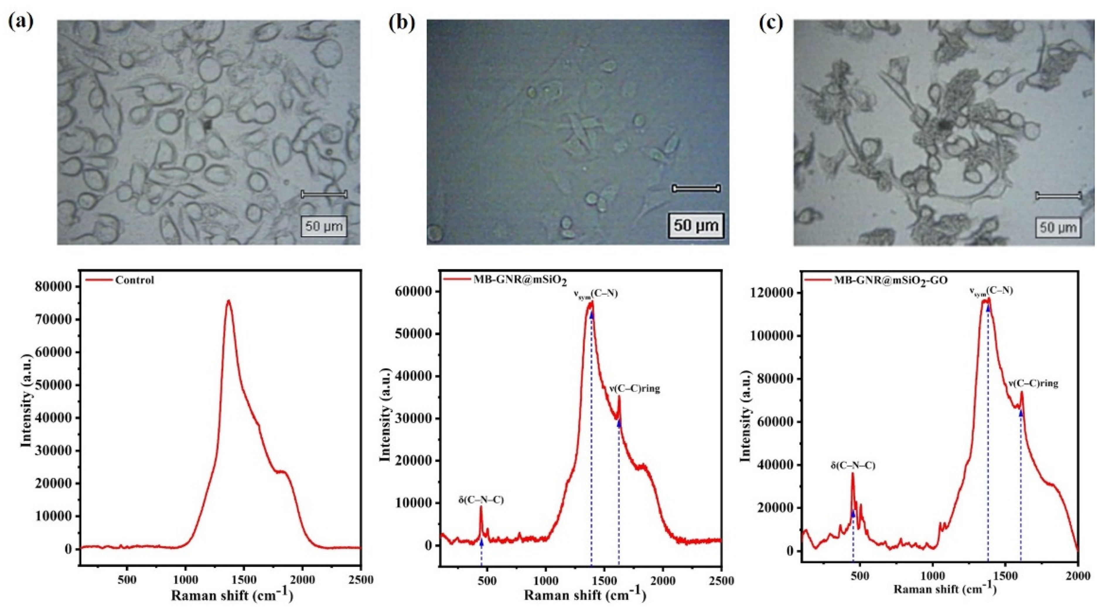 Pharmaceutics 14 02242 g008