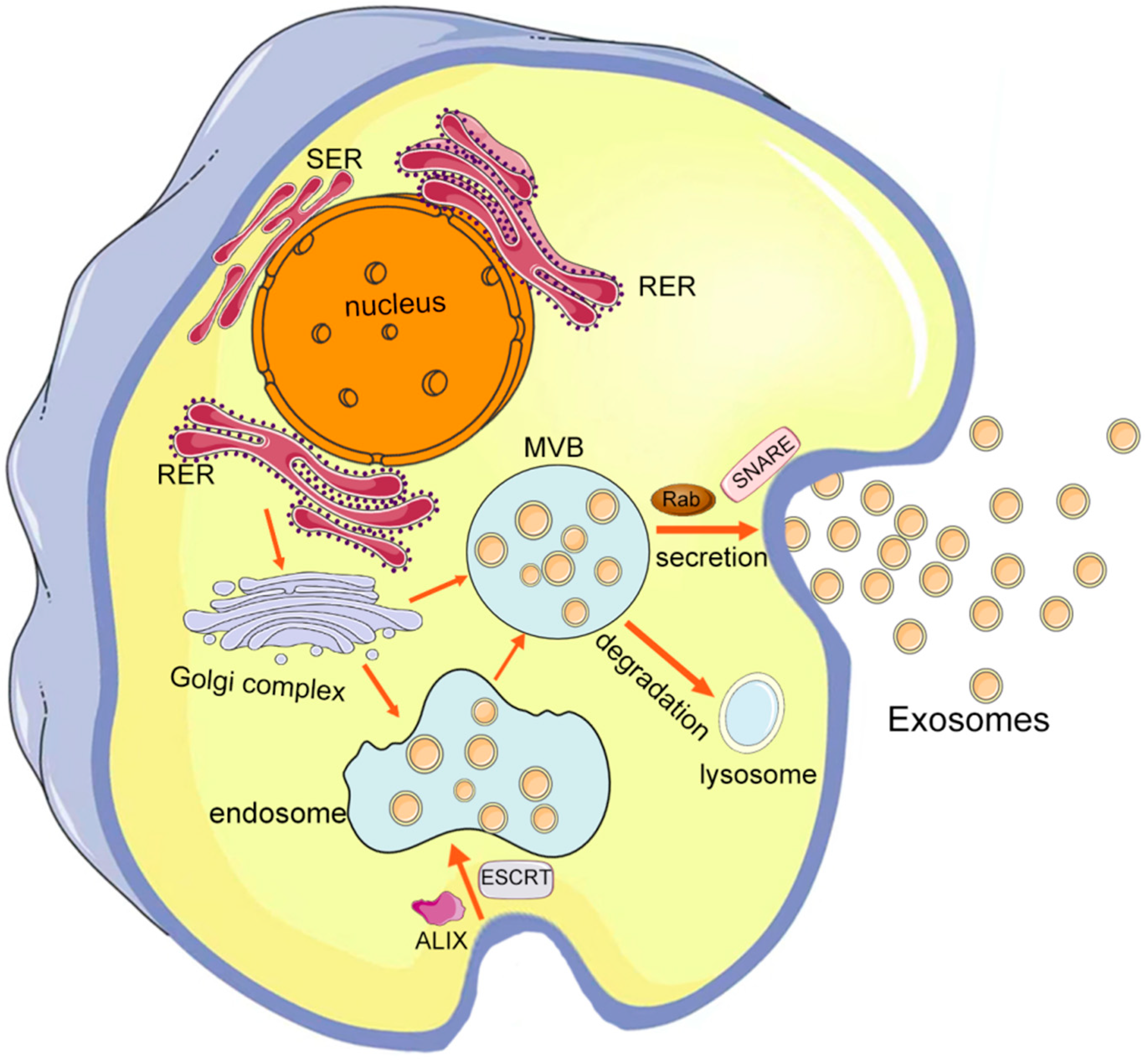 Pharmaceutics 14 02252 g001 Pharmaceutics 14 02252 g001