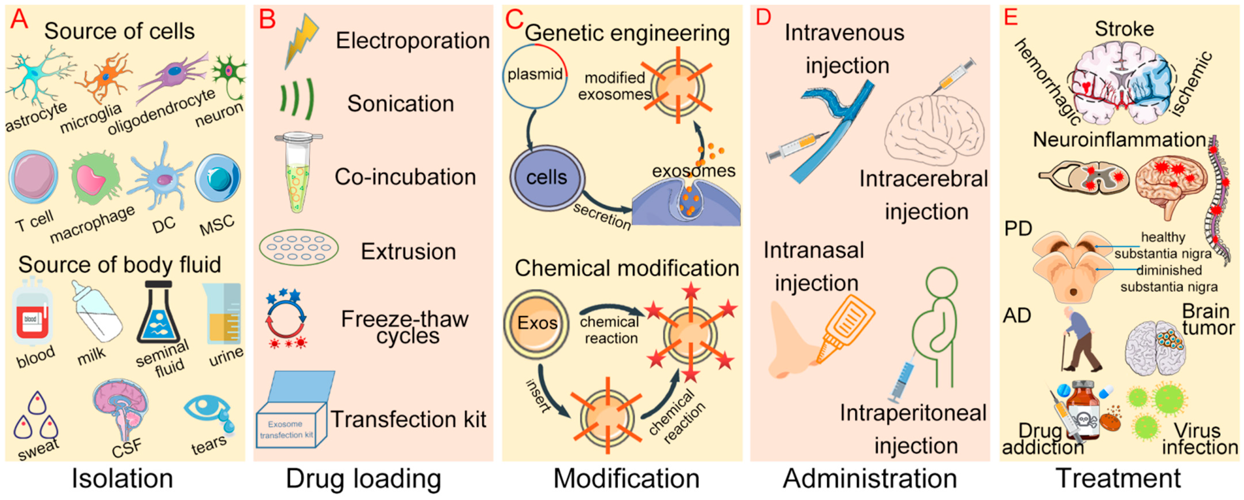 Pharmaceutics 14 02252 g004 Pharmaceutics 14 02252 g004