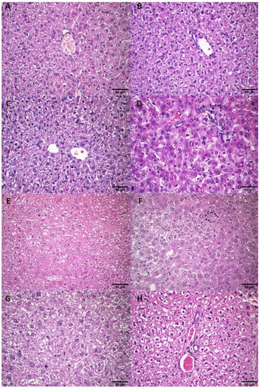 Pharmaceutics 14 02256 g0a3