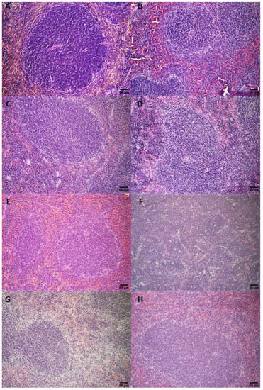 Pharmaceutics 14 02256 g0a4