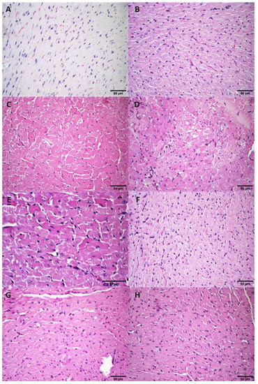 Pharmaceutics 14 02256 g0a6