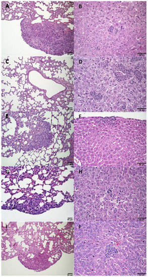 Pharmaceutics 14 02256 g0a8