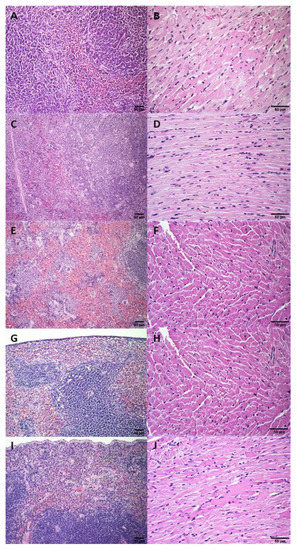 Pharmaceutics 14 02256 g0a9