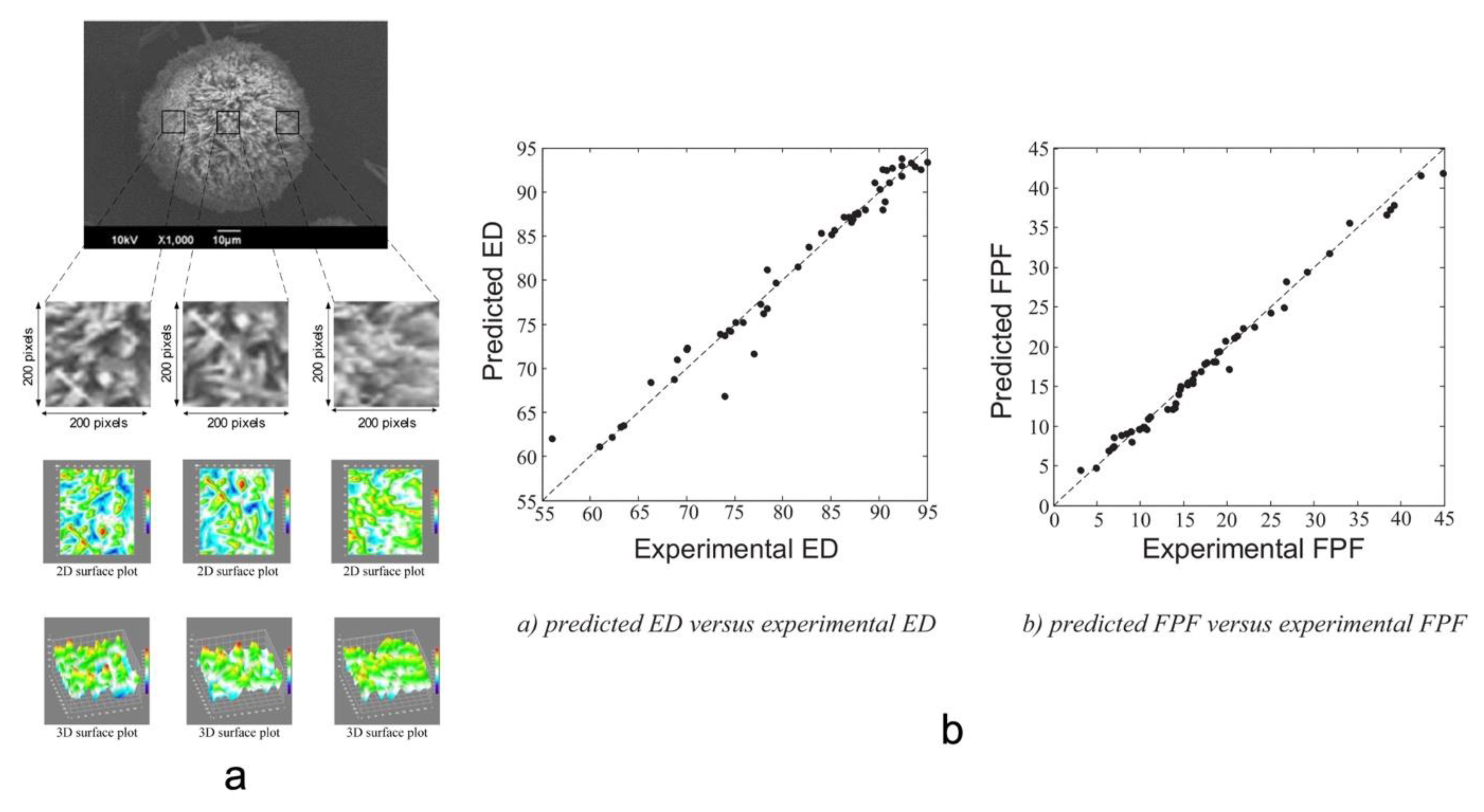 Pharmaceutics 14 02257 g008