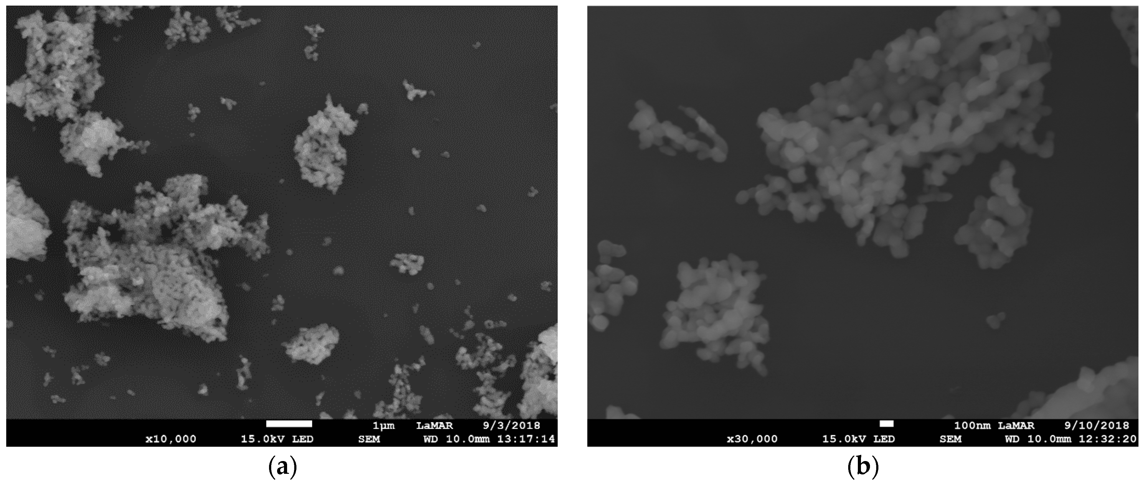 Pharmaceutics 14 02258 g005