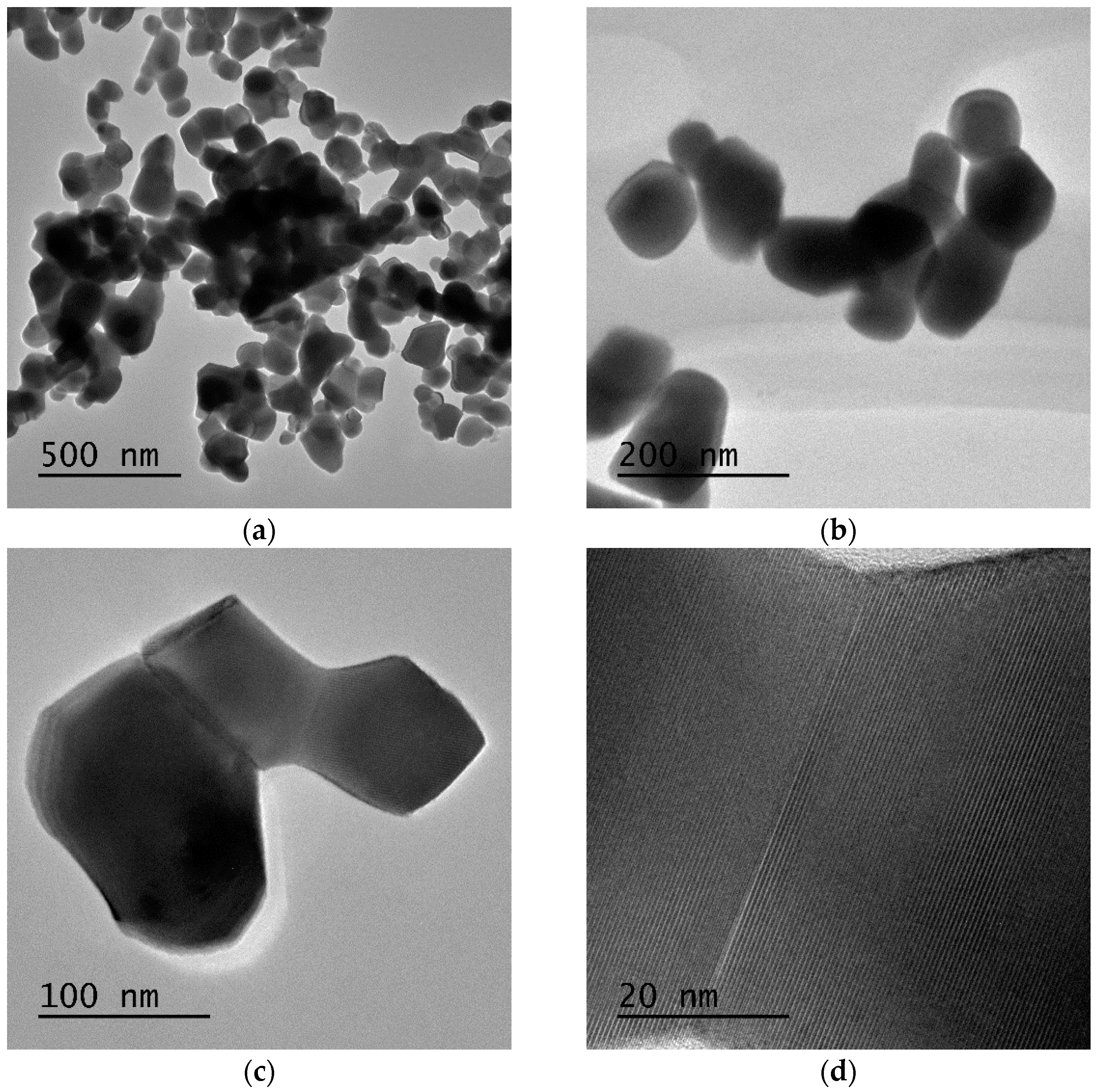 Pharmaceutics 14 02258 g008