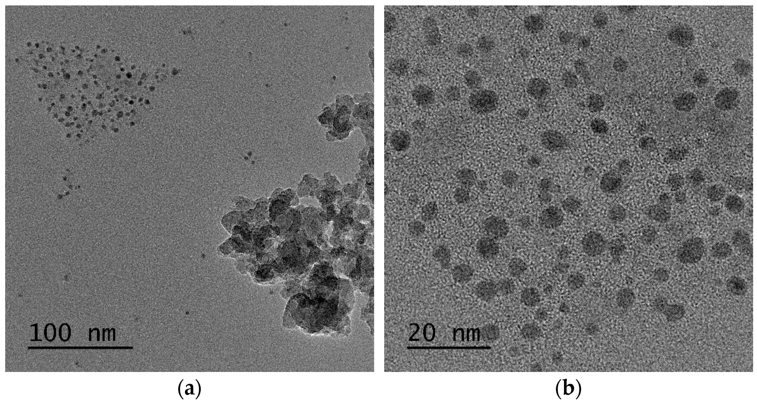 Pharmaceutics 14 02258 g010a