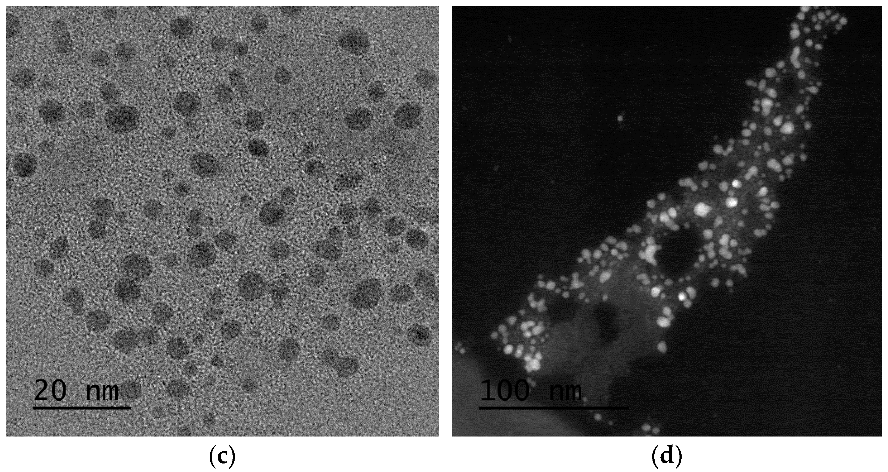 Pharmaceutics 14 02258 g010b