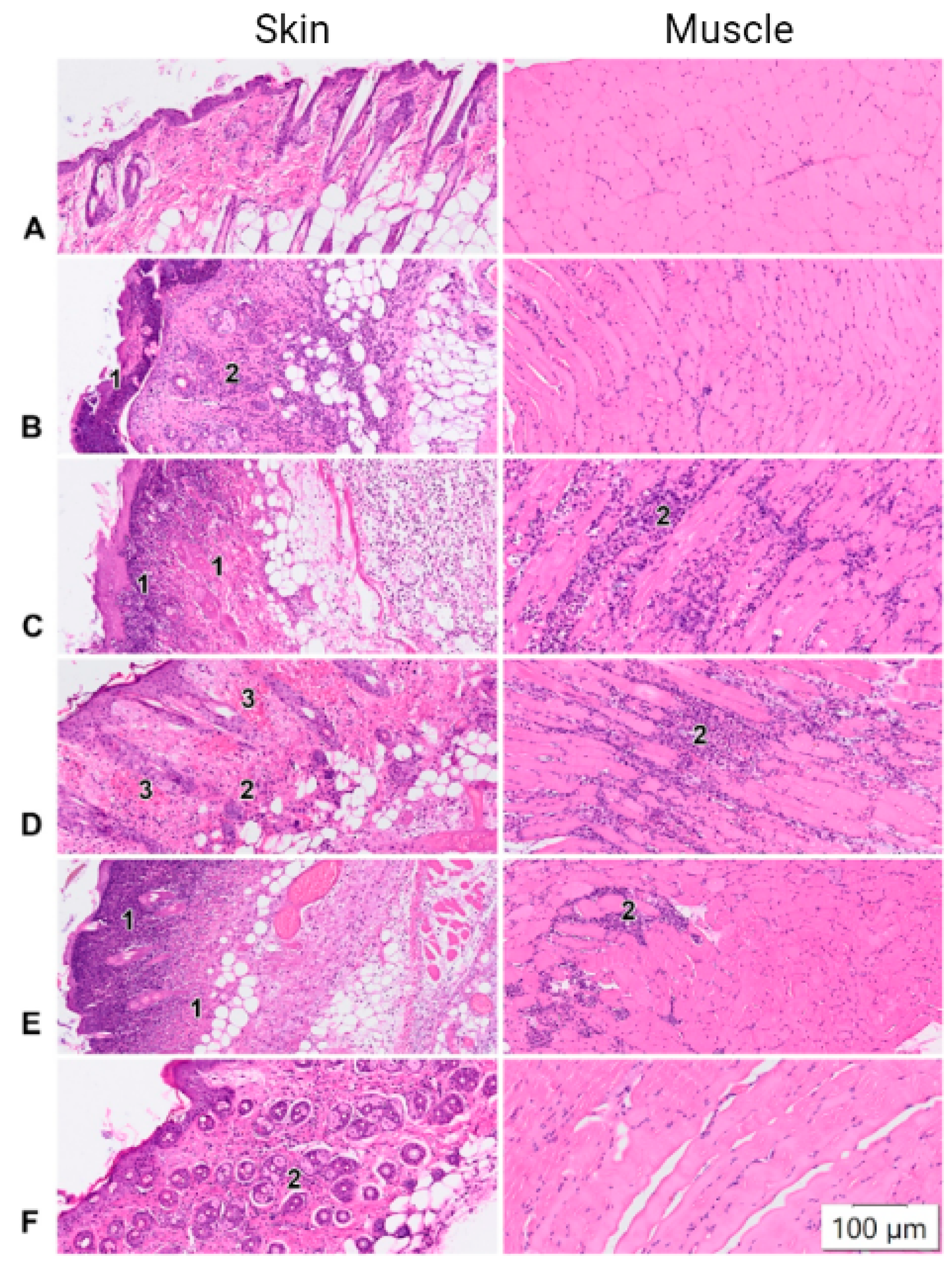 Pharmaceutics 14 02259 g001 Pharmaceutics 14 02259 g001
