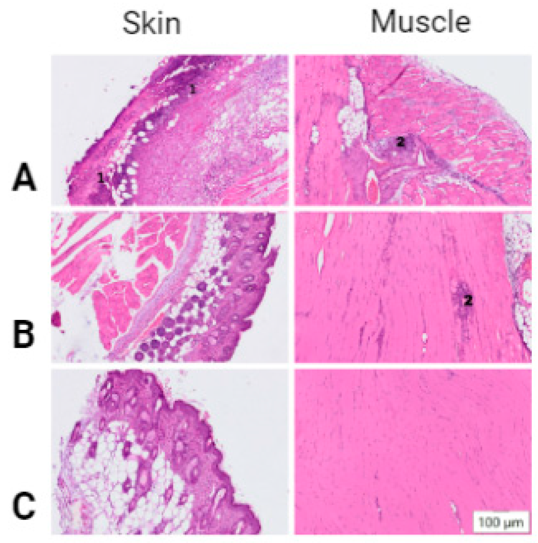 Pharmaceutics 14 02259 g002 Pharmaceutics 14 02259 g002